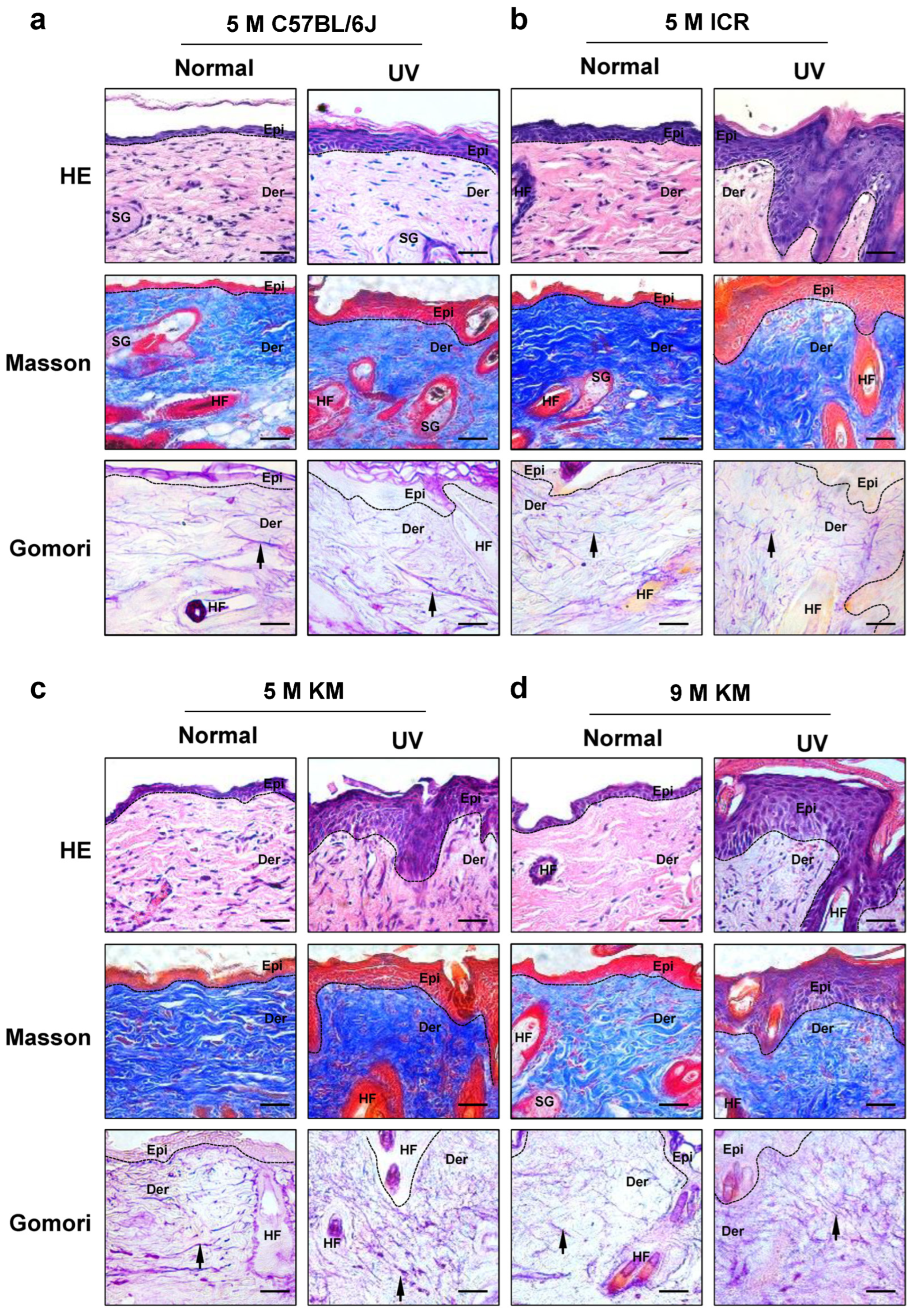 Ijms 24 10812 g004 Ijms 24 10812 g004