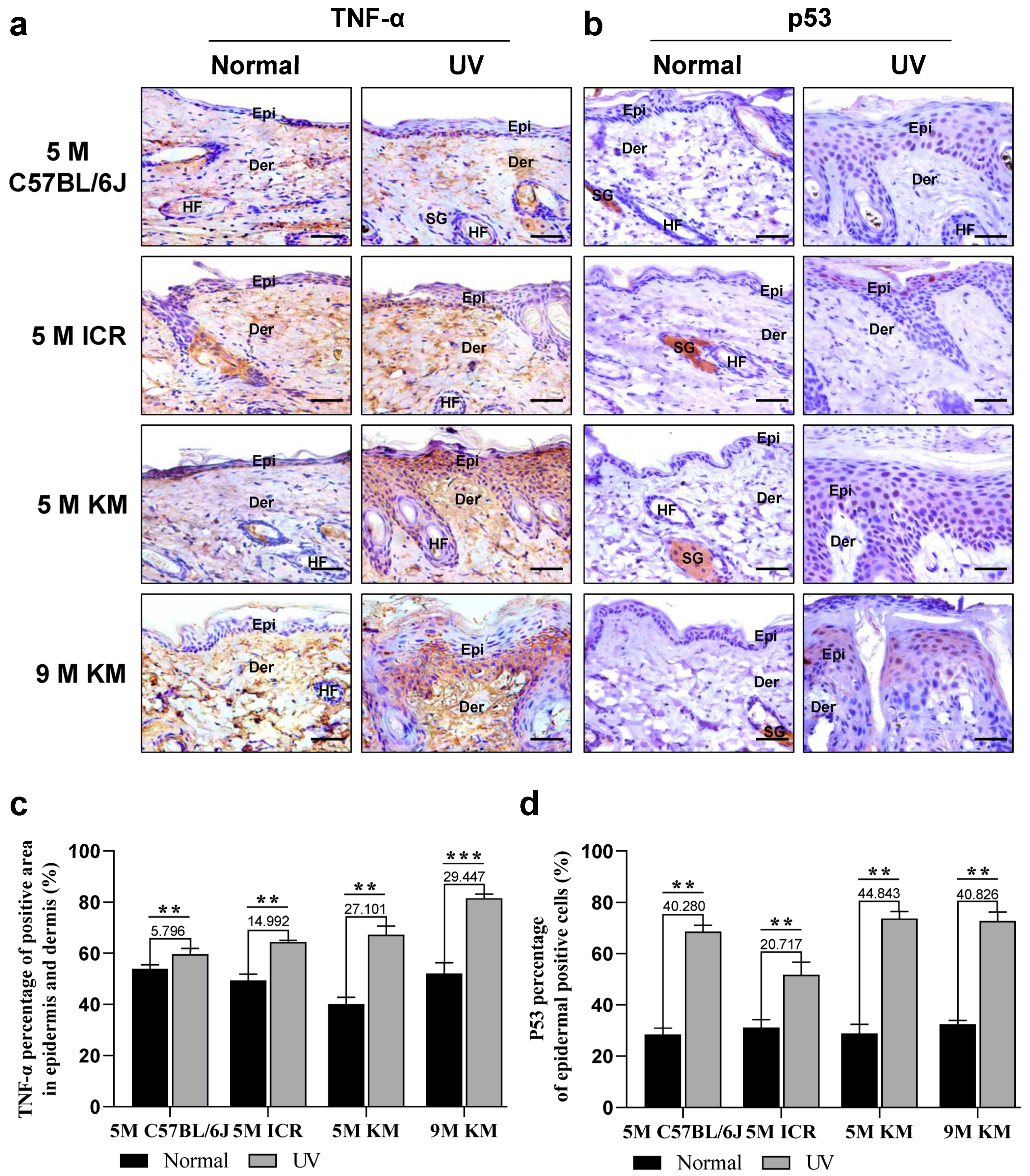 Ijms 24 10812 g005 Ijms 24 10812 g005