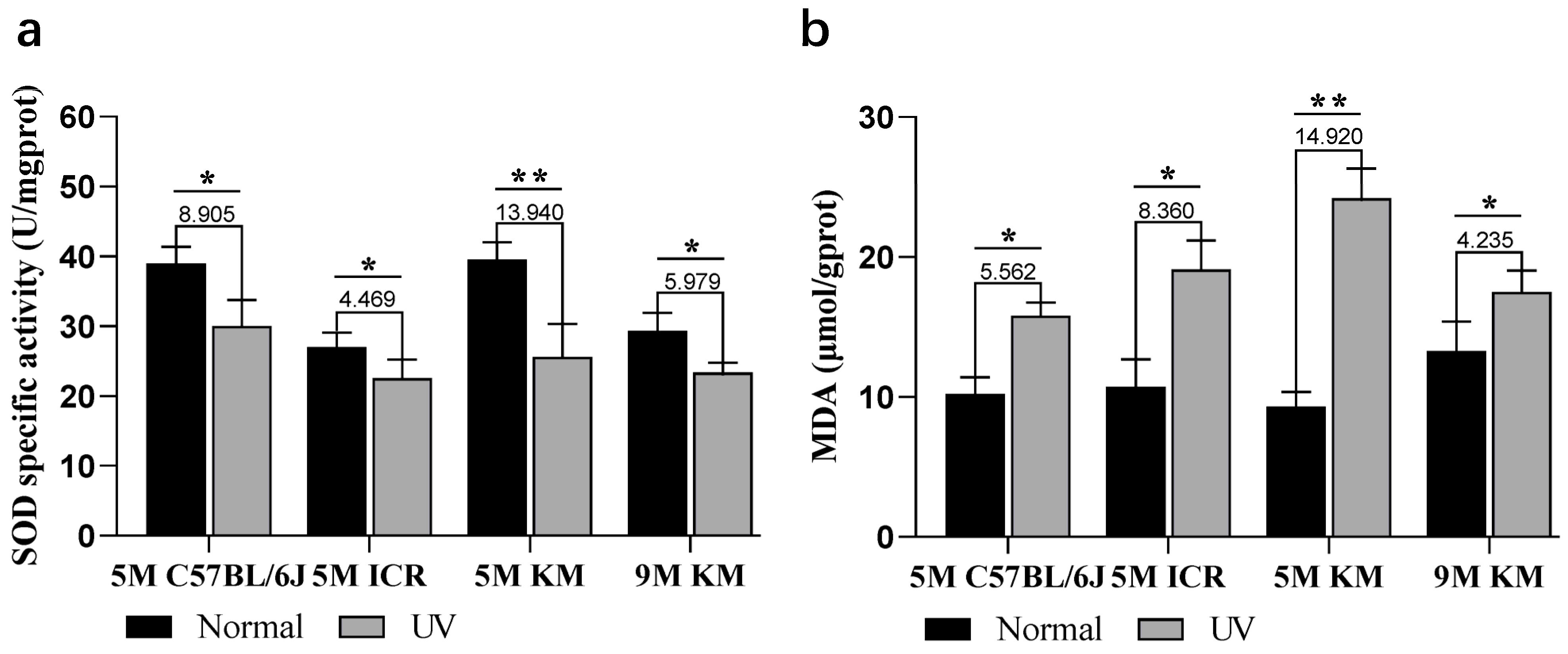 Ijms 24 10812 g006 Ijms 24 10812 g006