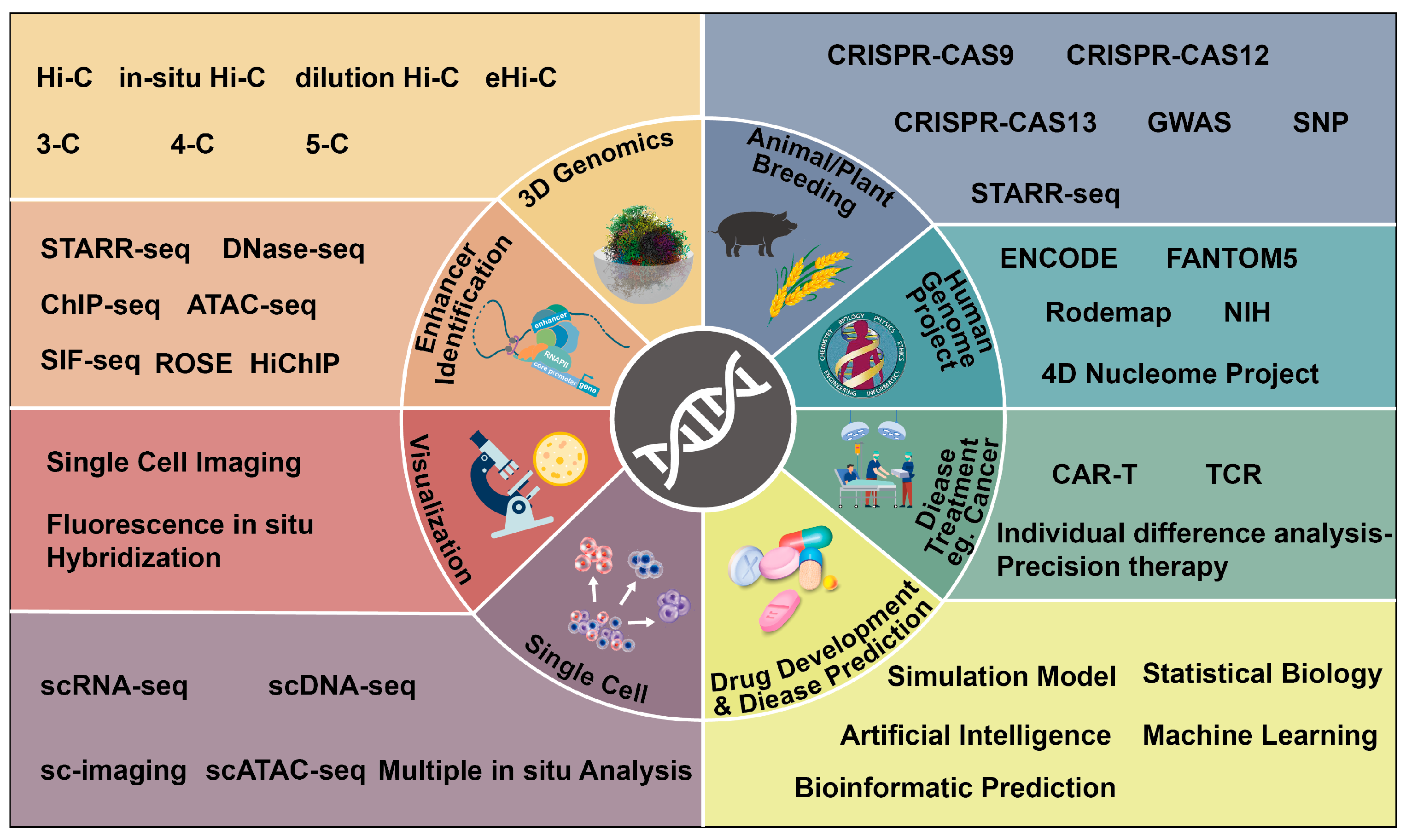 Ijms 24 10843 g001 Ijms 24 10843 g001