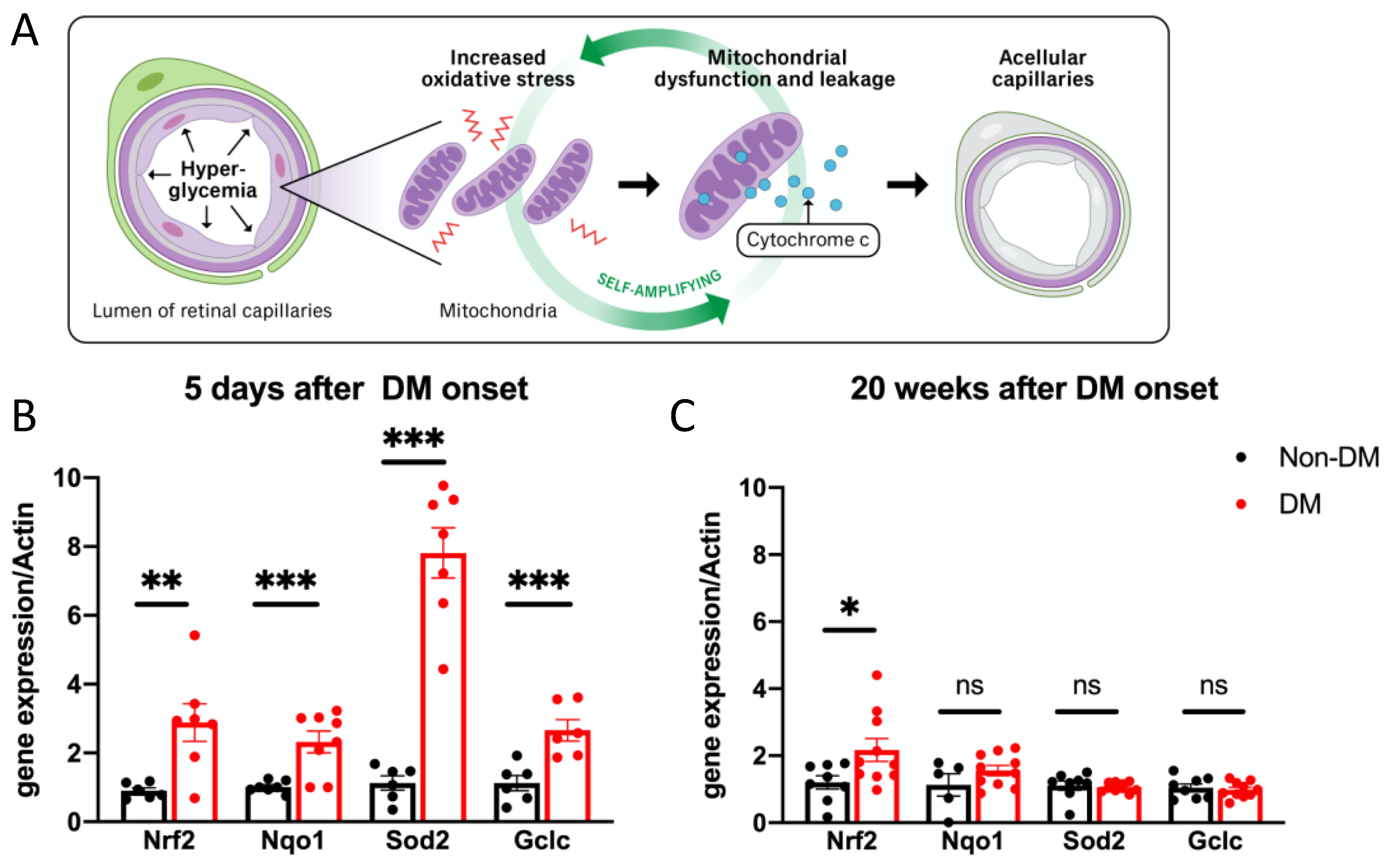 Ijms 24 10869 g001 Ijms 24 10869 g001