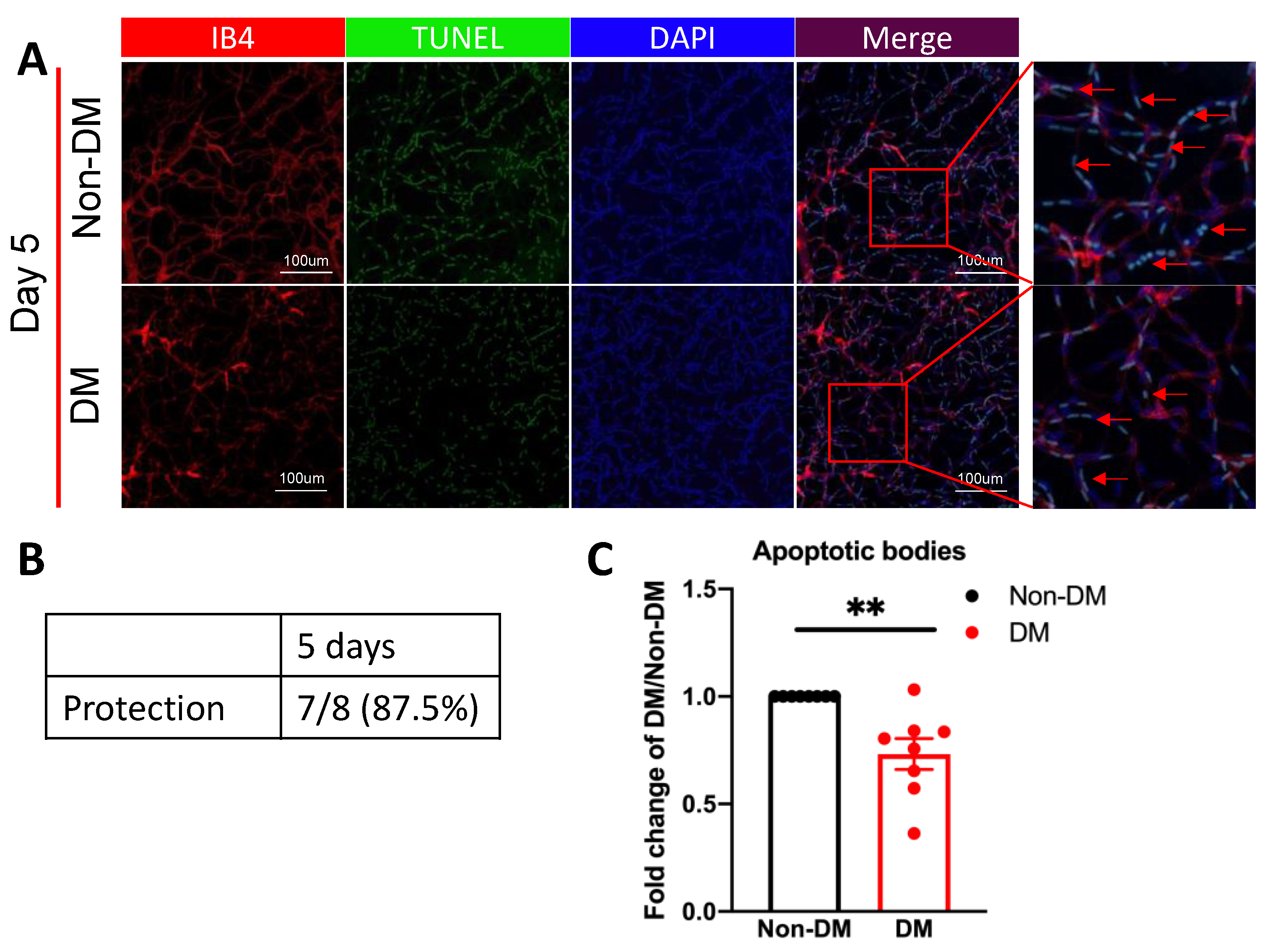 Ijms 24 10869 g003 Ijms 24 10869 g003