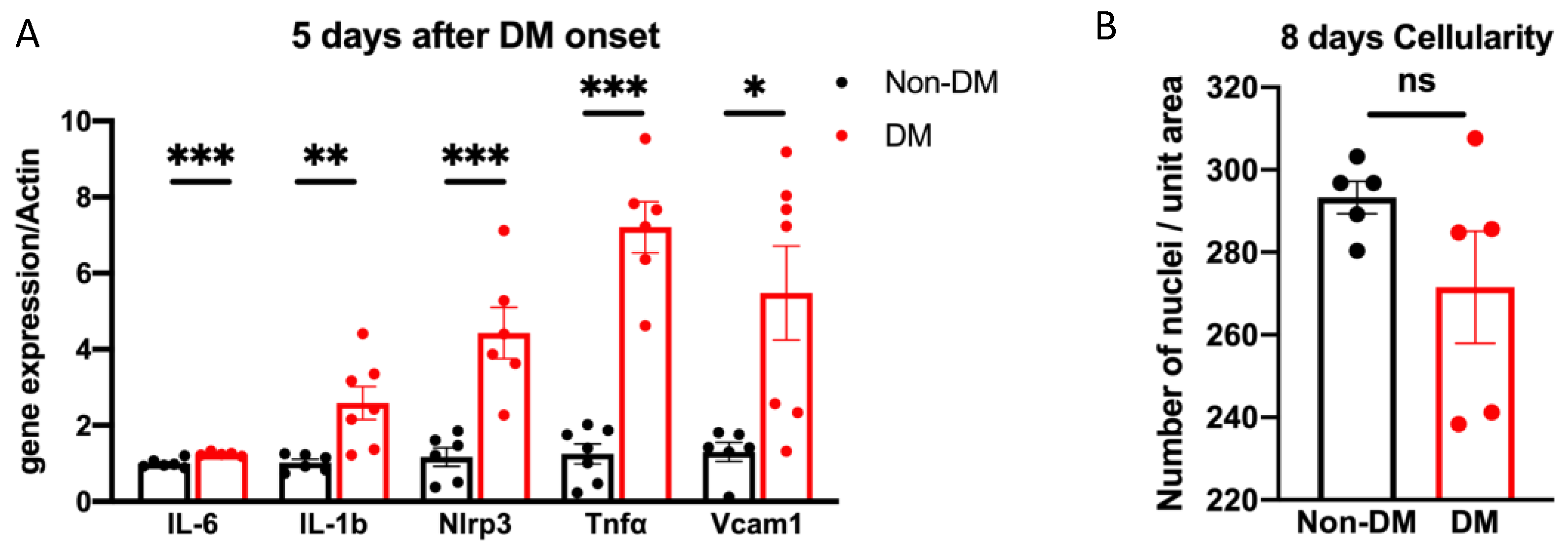 Ijms 24 10869 g004 Ijms 24 10869 g004