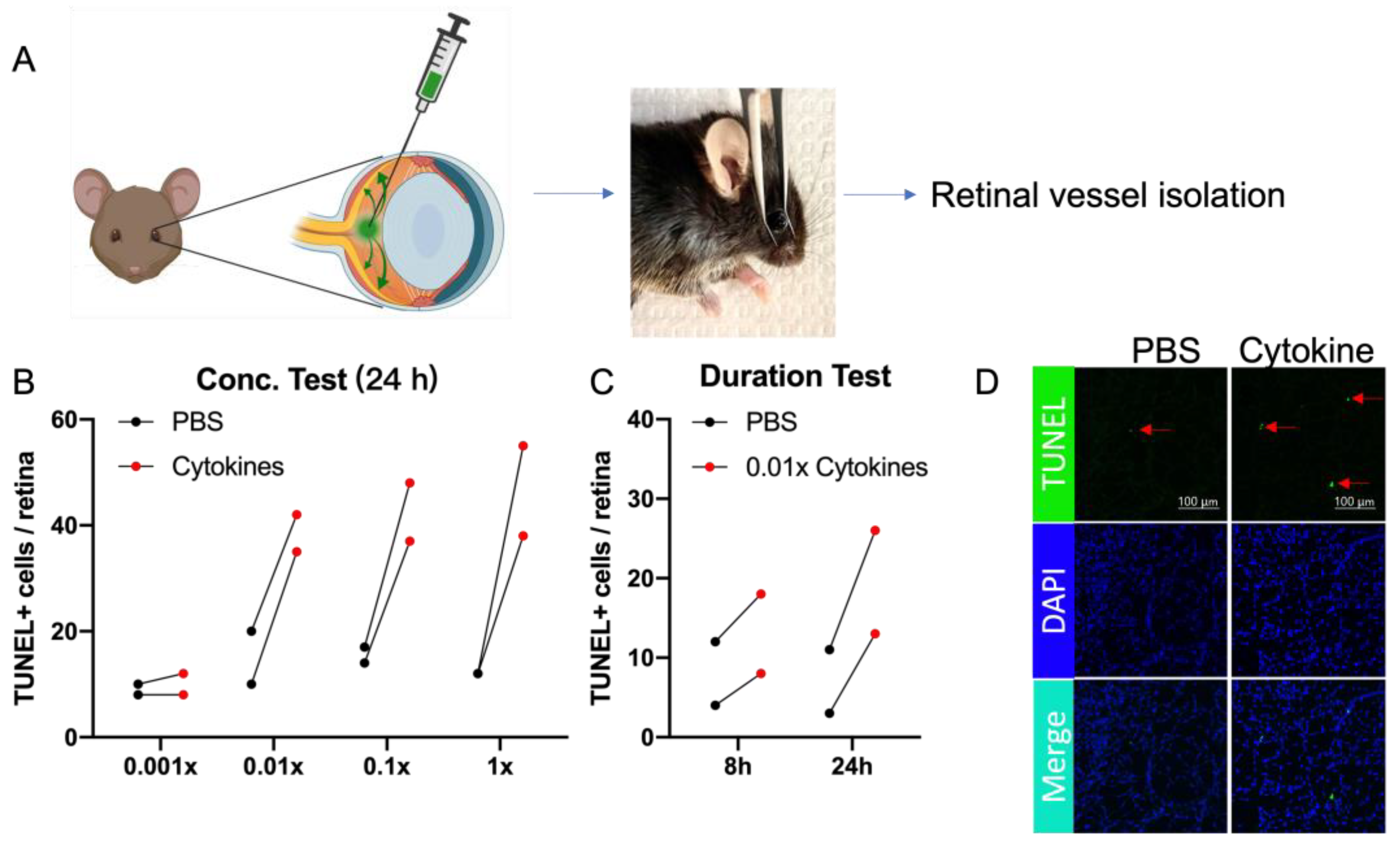 Ijms 24 10869 g005 Ijms 24 10869 g005