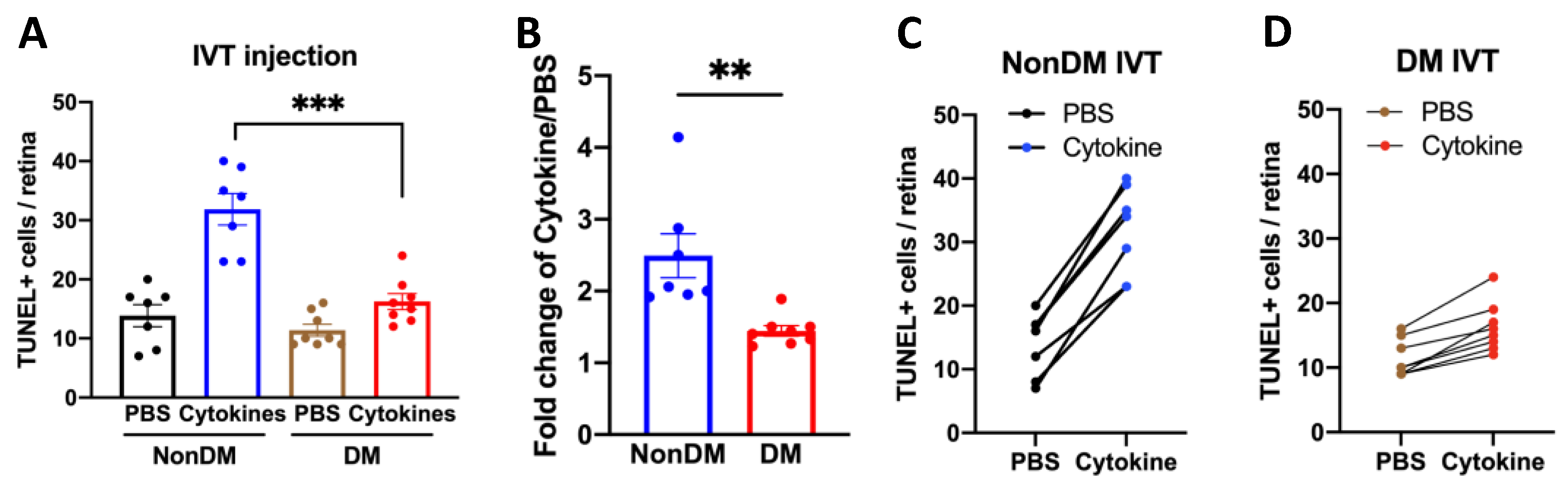 Ijms 24 10869 g006 Ijms 24 10869 g006