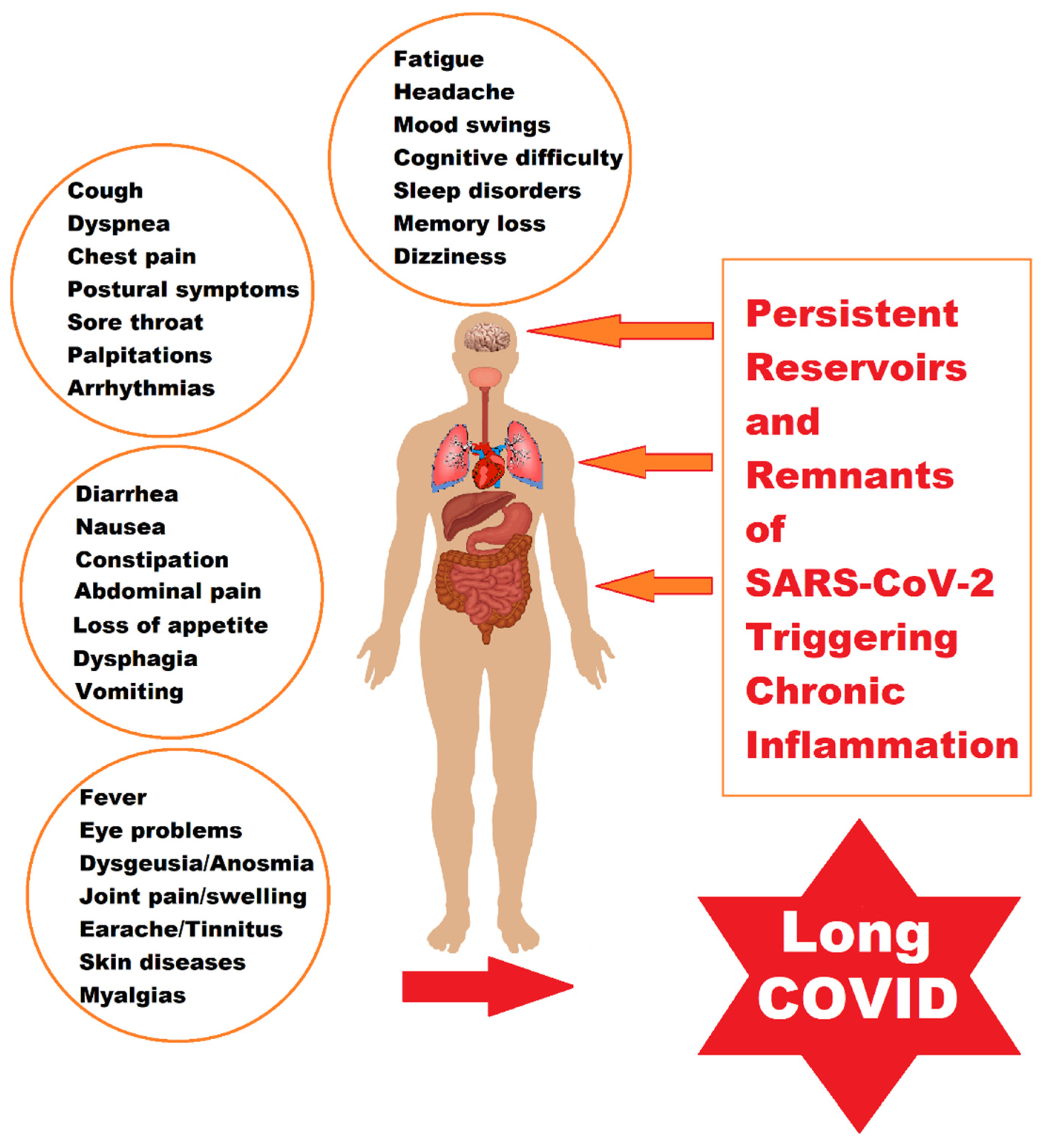 Ijms 24 10874 g001 Ijms 24 10874 g001