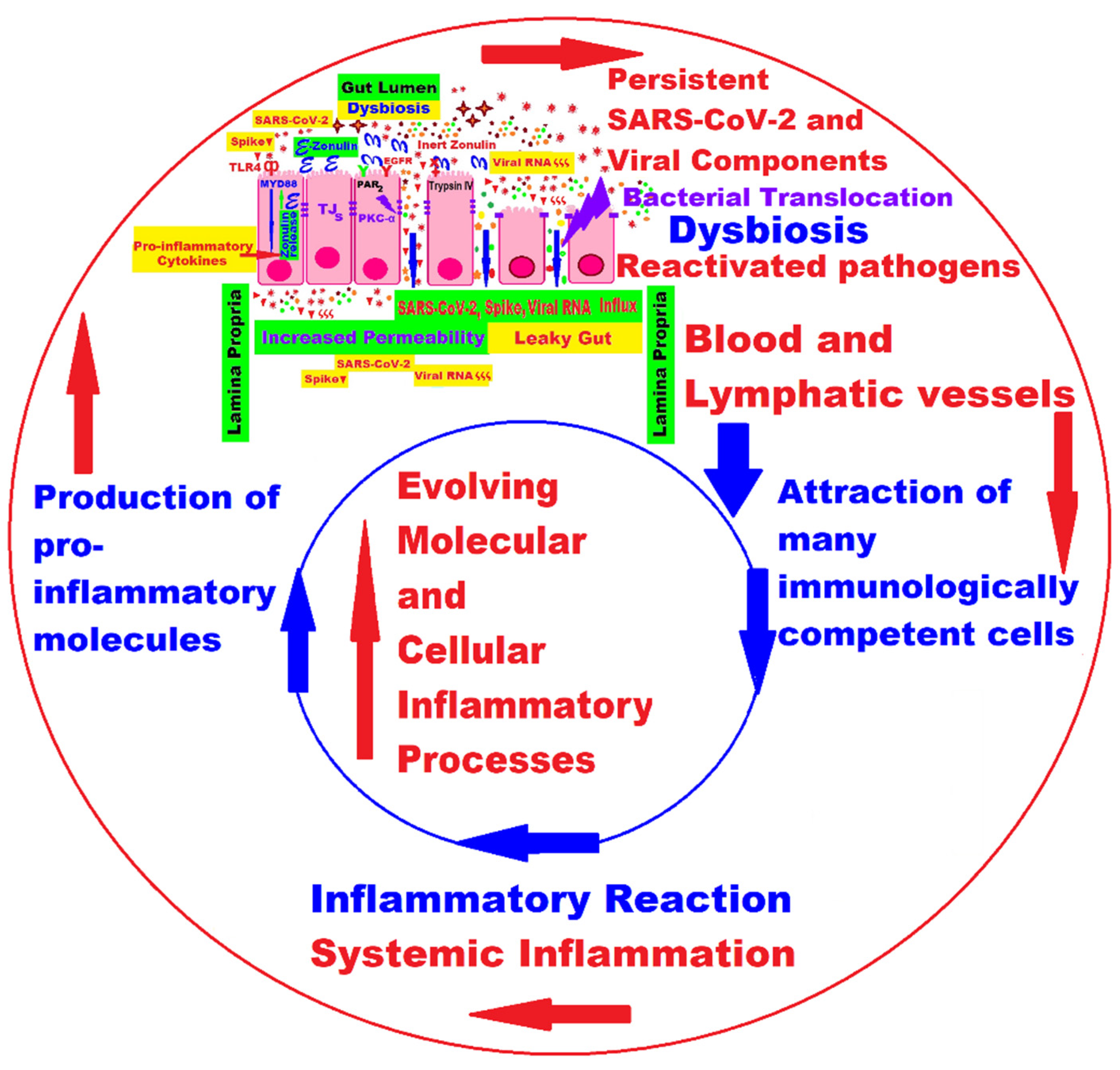 Ijms 24 10874 g002 Ijms 24 10874 g002