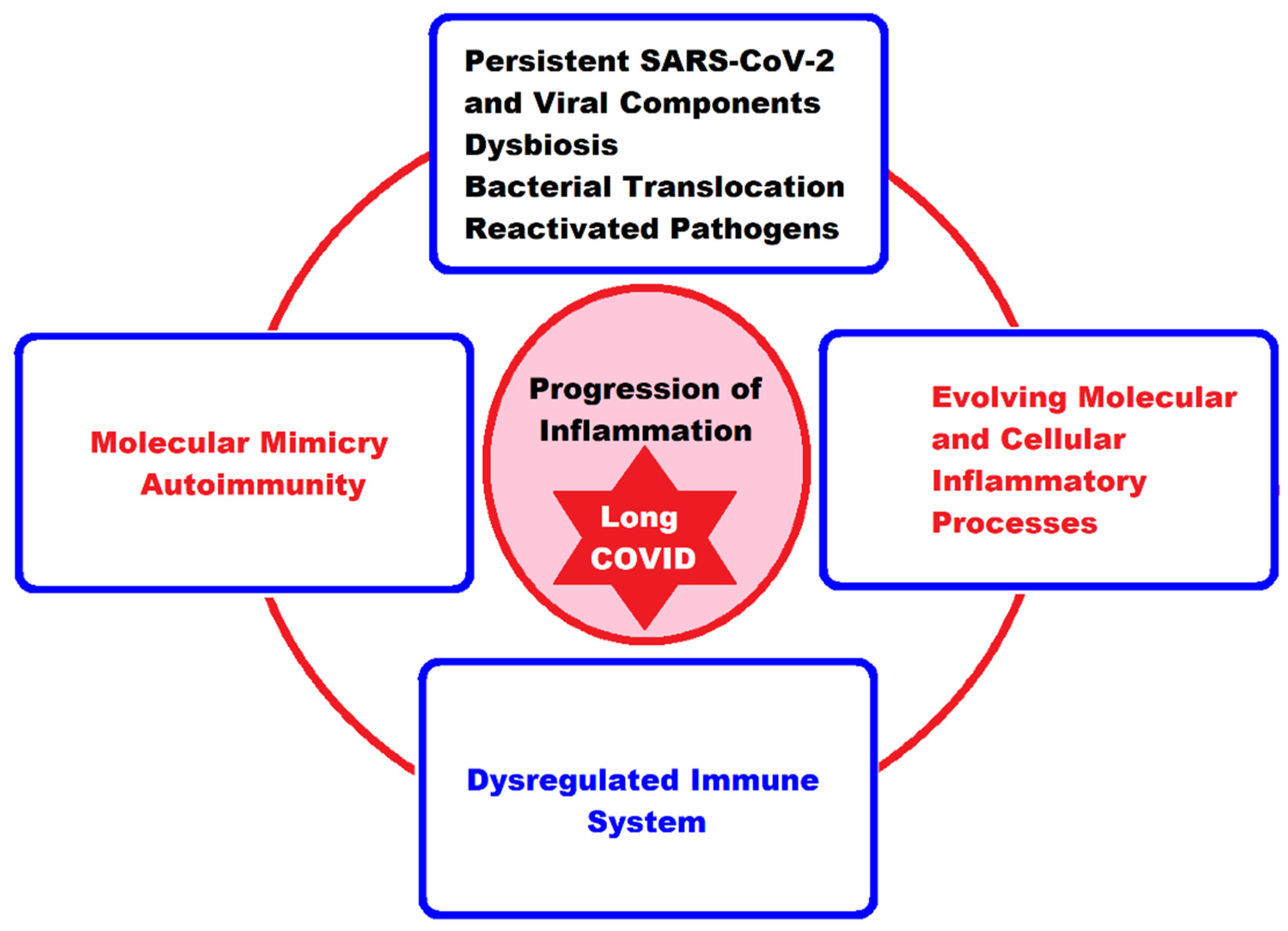 Ijms 24 10874 g003 Ijms 24 10874 g003
