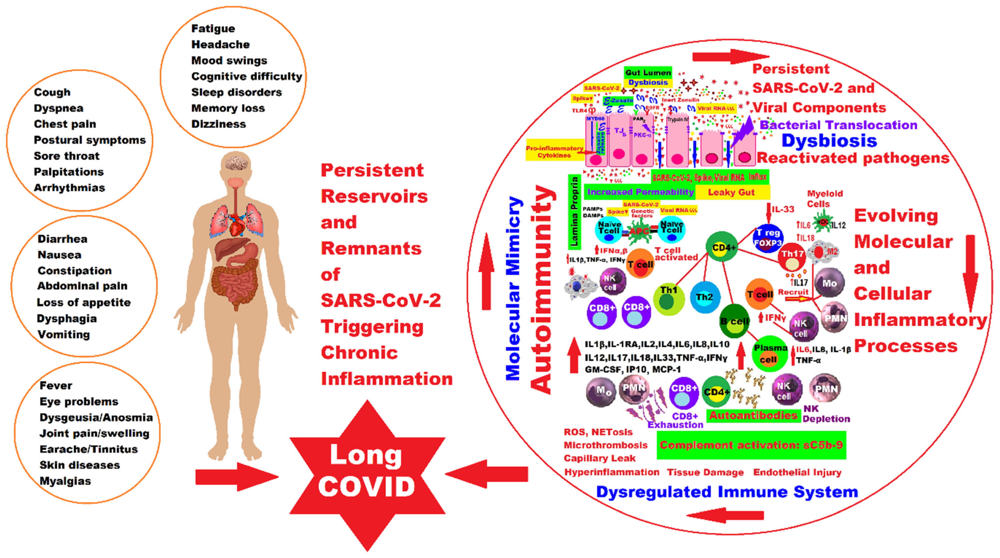 Ijms 24 10874 g004 Ijms 24 10874 g004