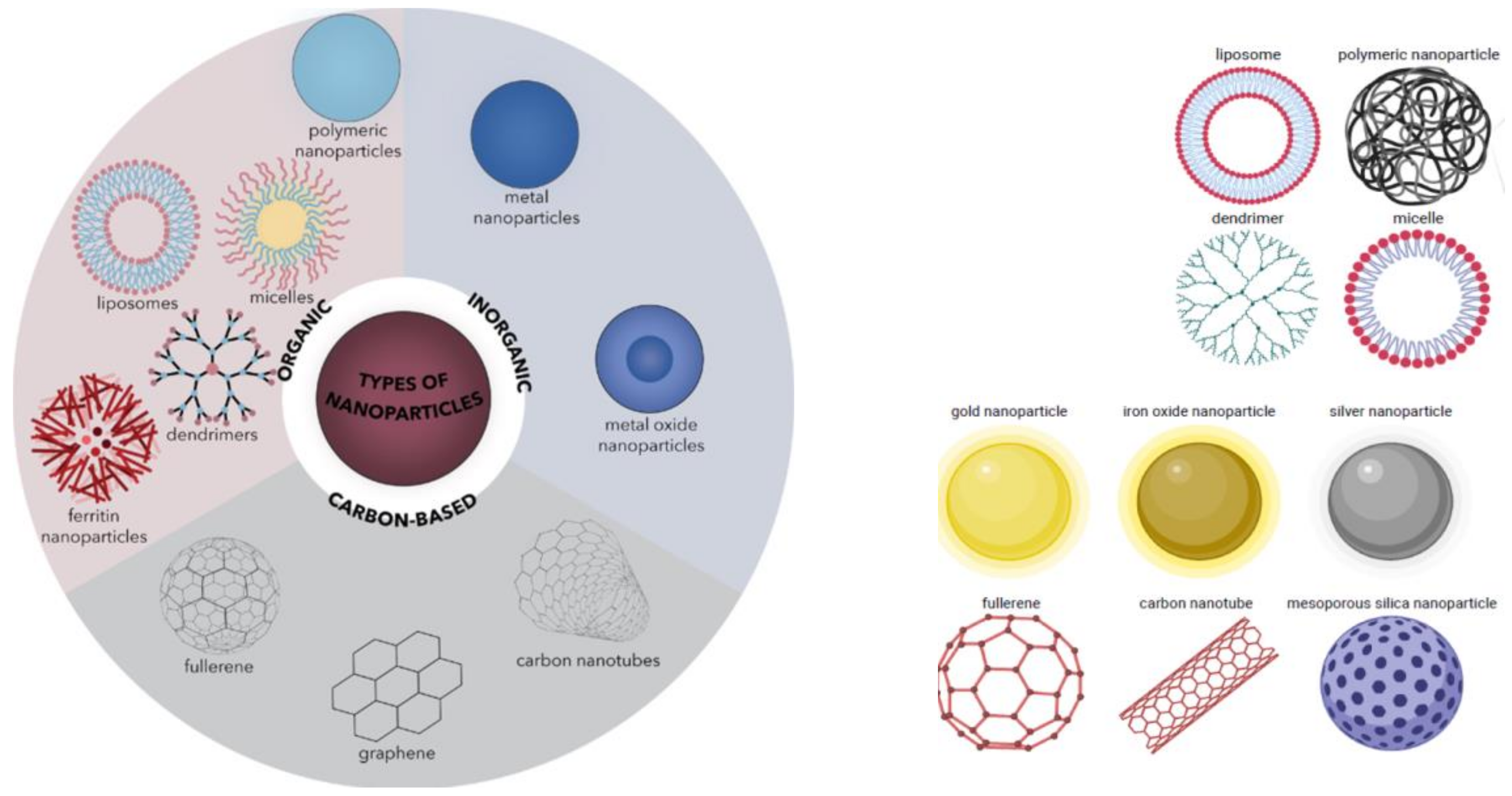 Ijms 24 10875 g002 Ijms 24 10875 g002