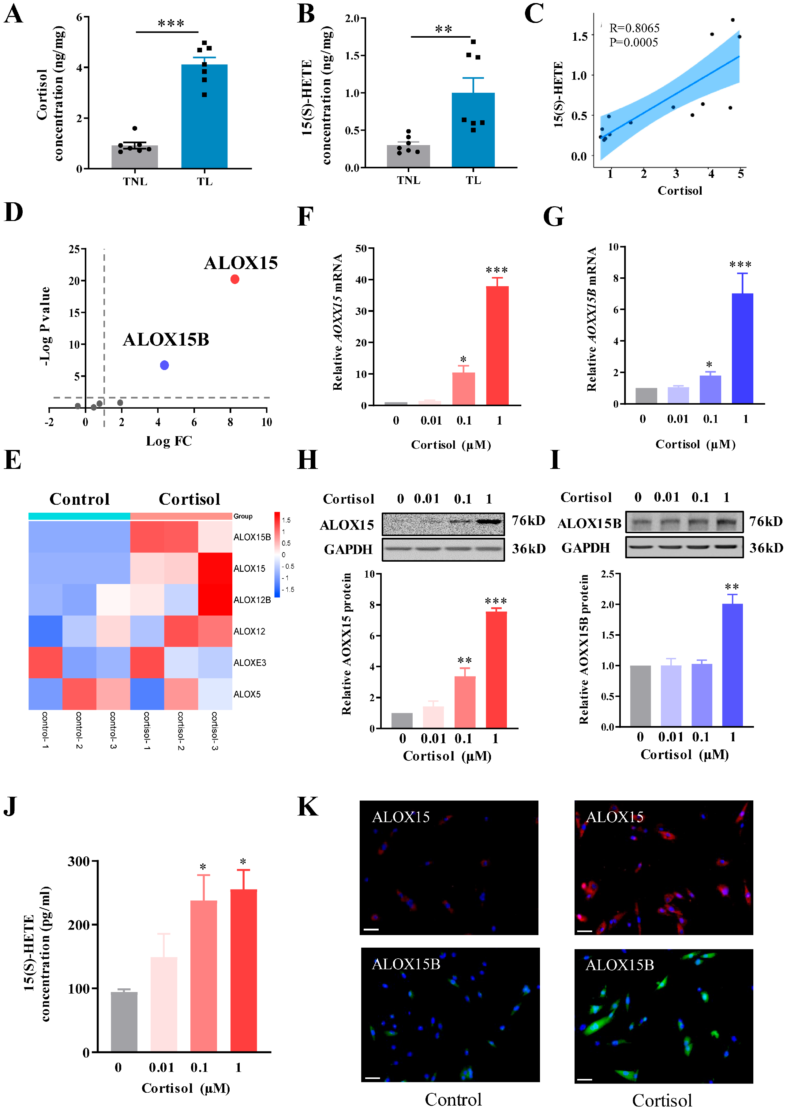 Ijms 24 10881 g001 Ijms 24 10881 g001