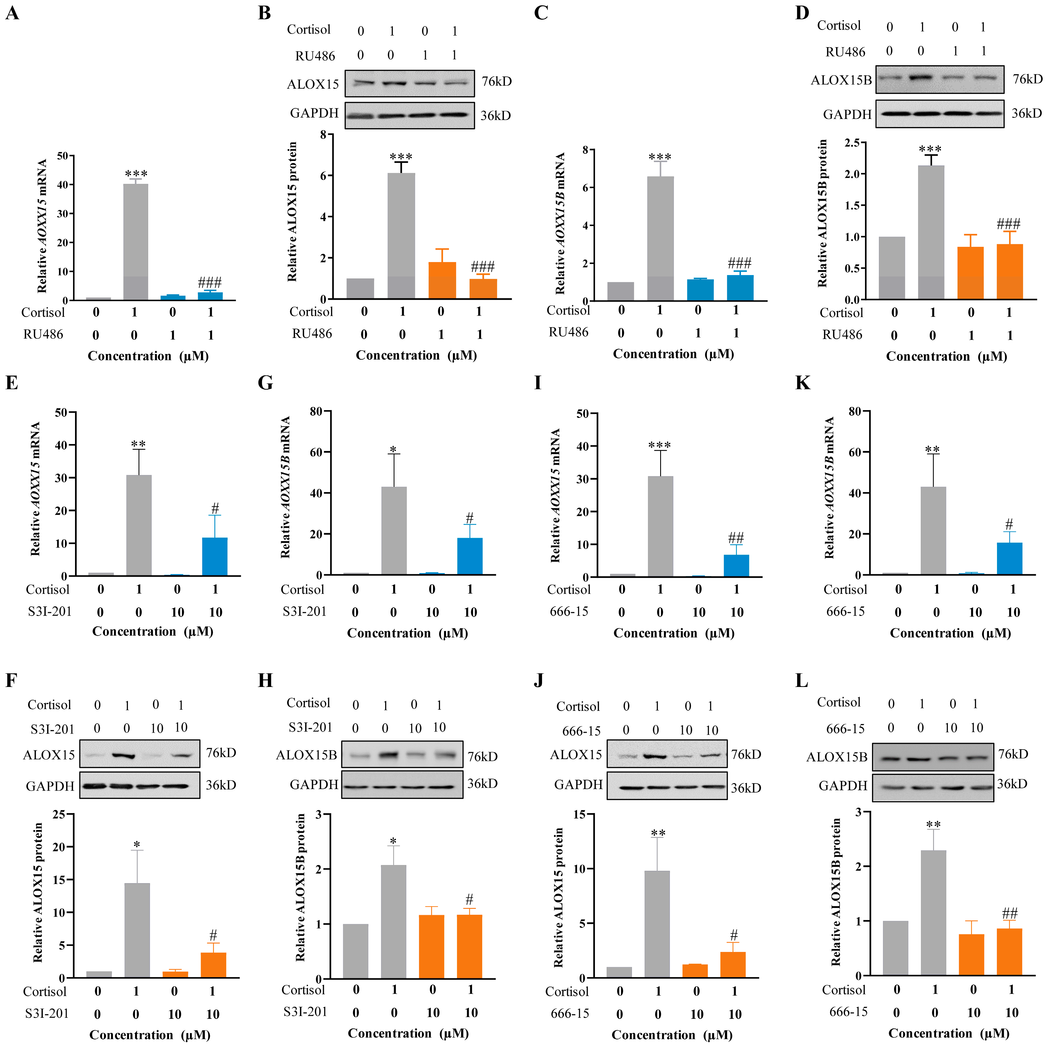 Ijms 24 10881 g003 Ijms 24 10881 g003