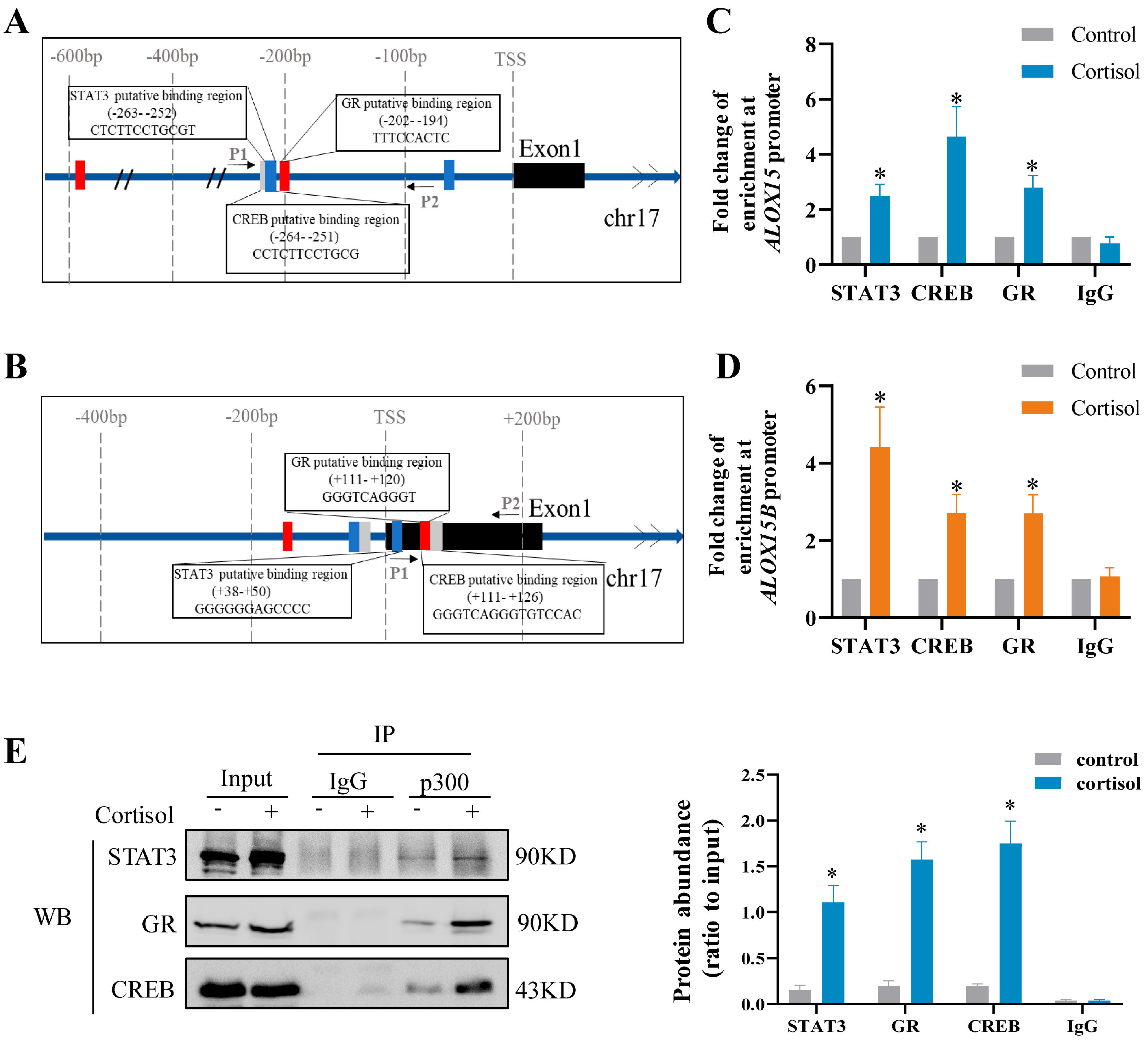 Ijms 24 10881 g004 Ijms 24 10881 g004