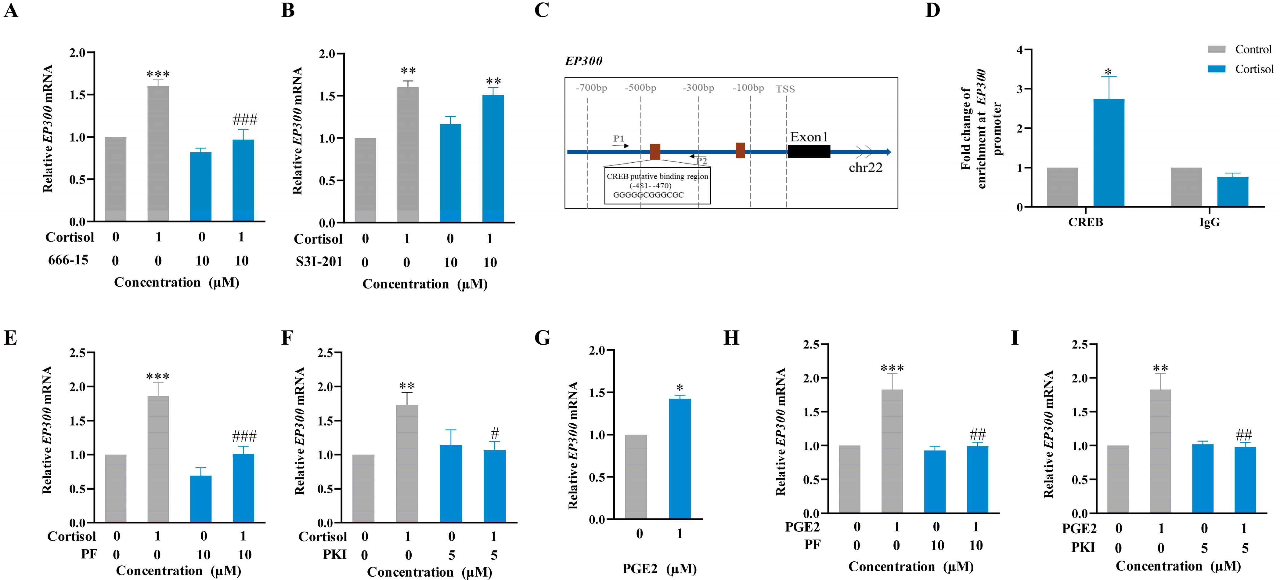 Ijms 24 10881 g006 Ijms 24 10881 g006