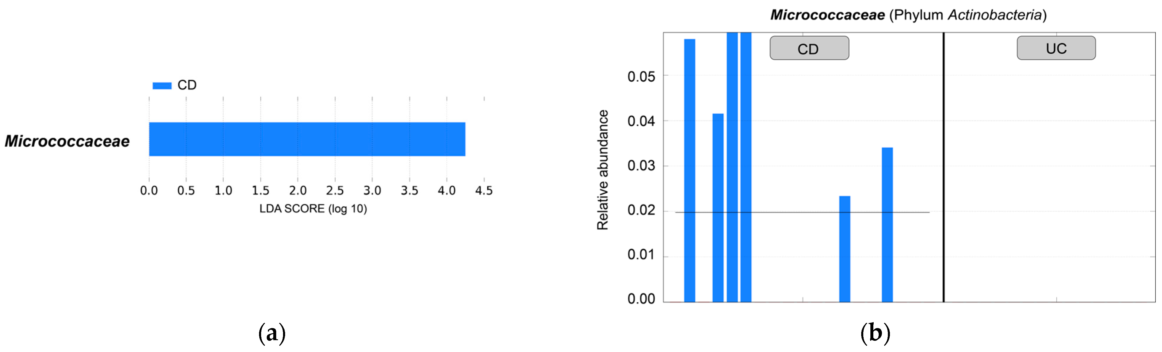 Ijms 24 10899 g003 Ijms 24 10899 g003
