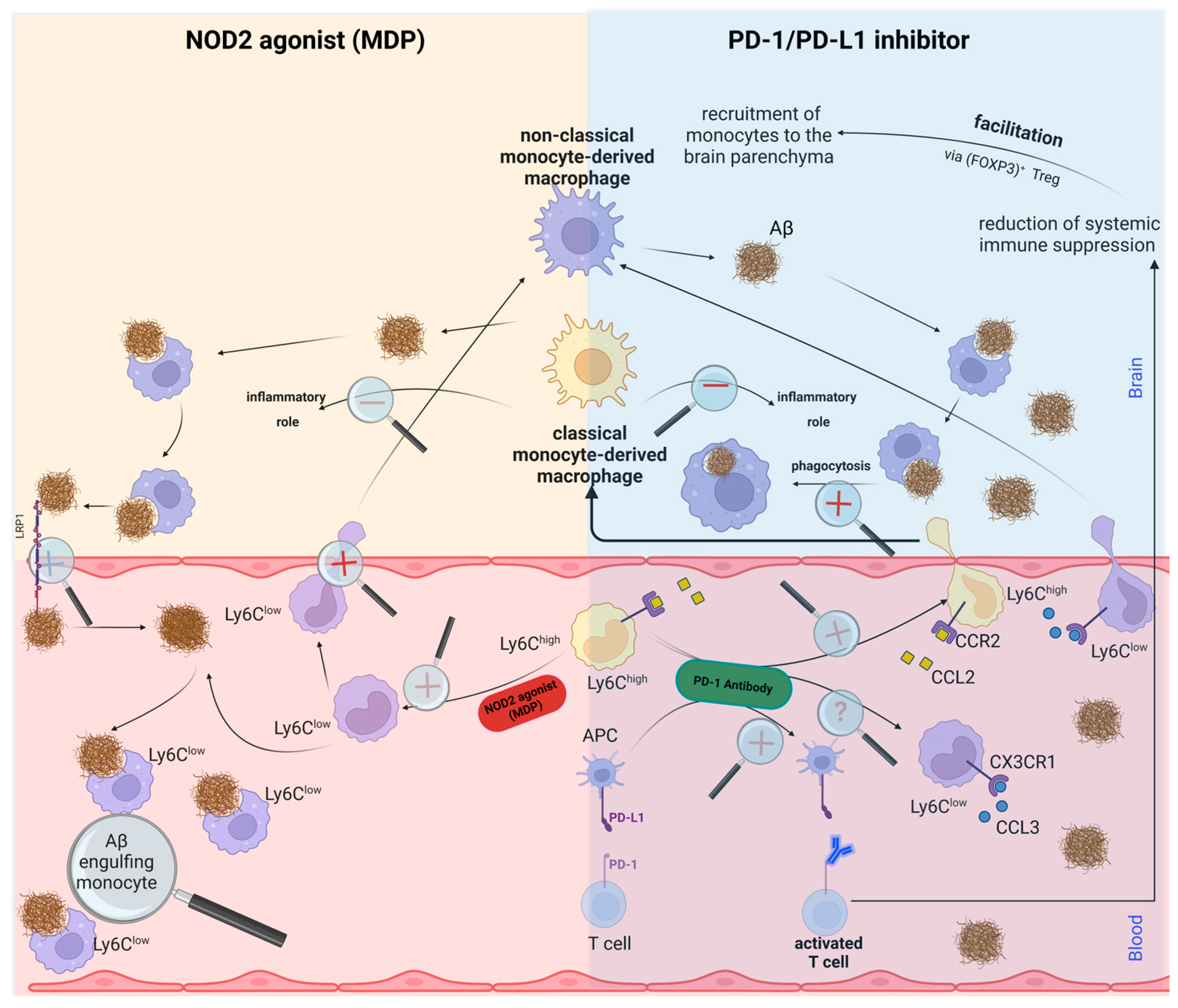 Ijms 24 10905 g003a Ijms 24 10905 g003a