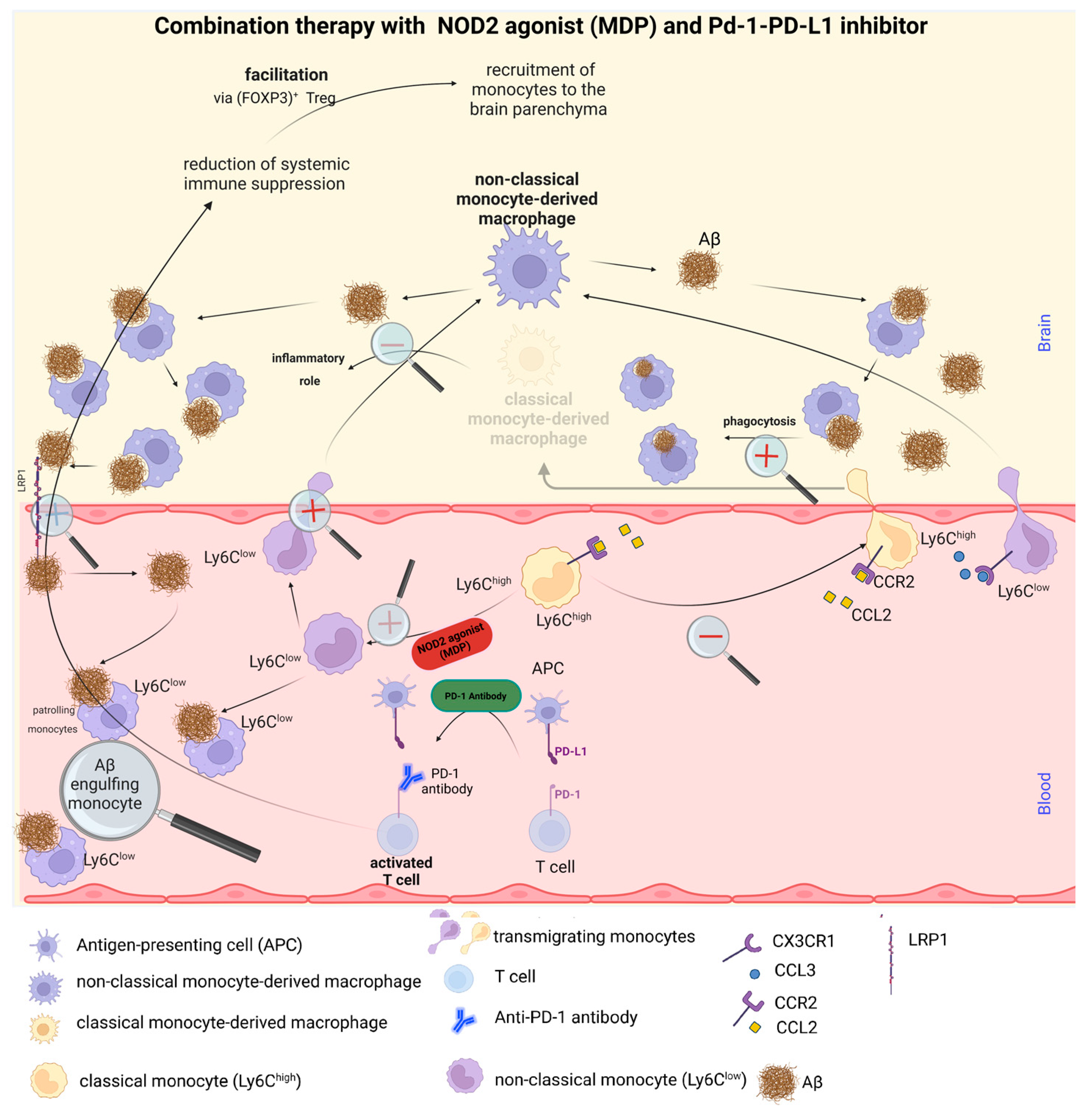 Ijms 24 10905 g003b Ijms 24 10905 g003b