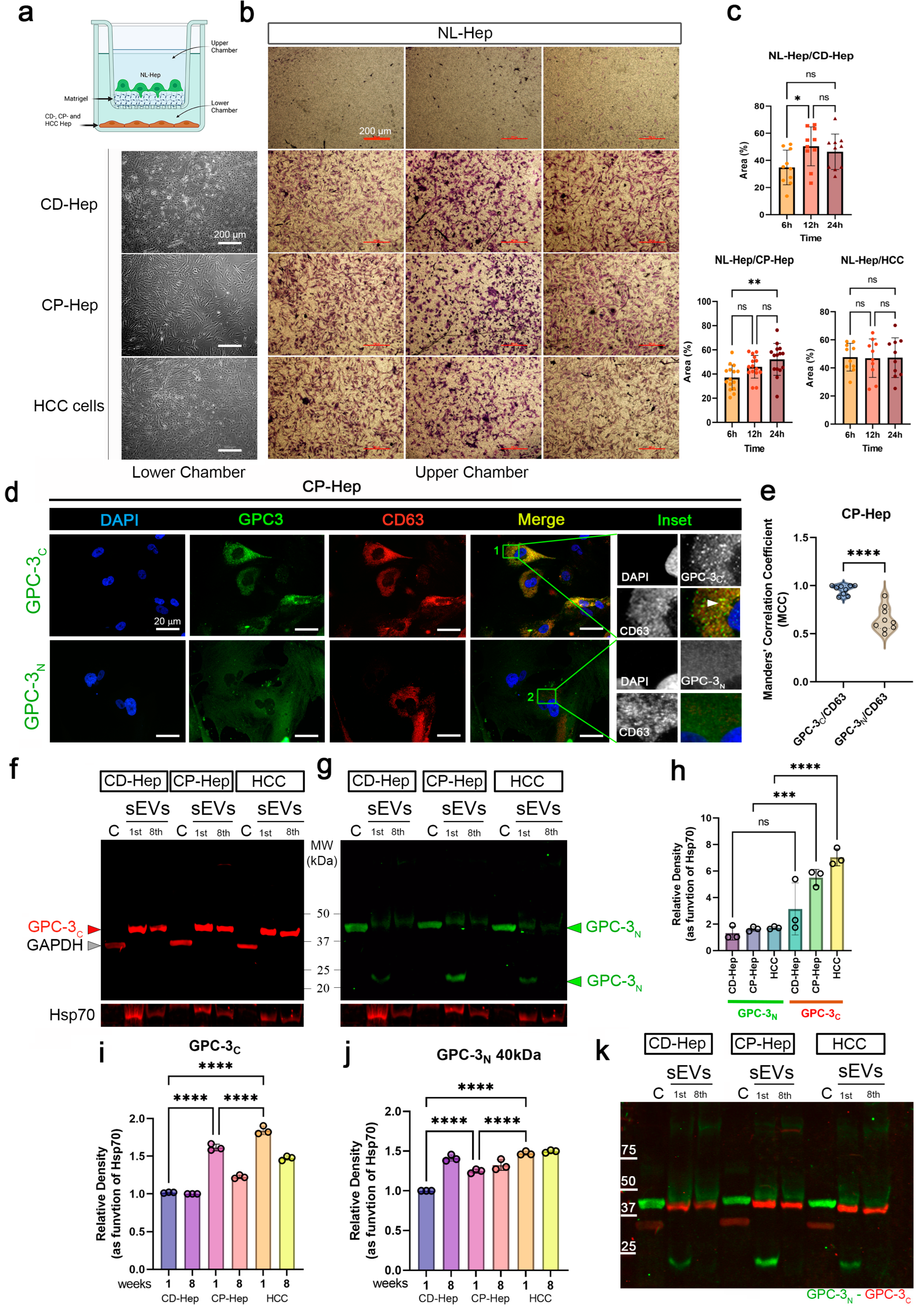 Ijms 24 10922 g002 Ijms 24 10922 g002