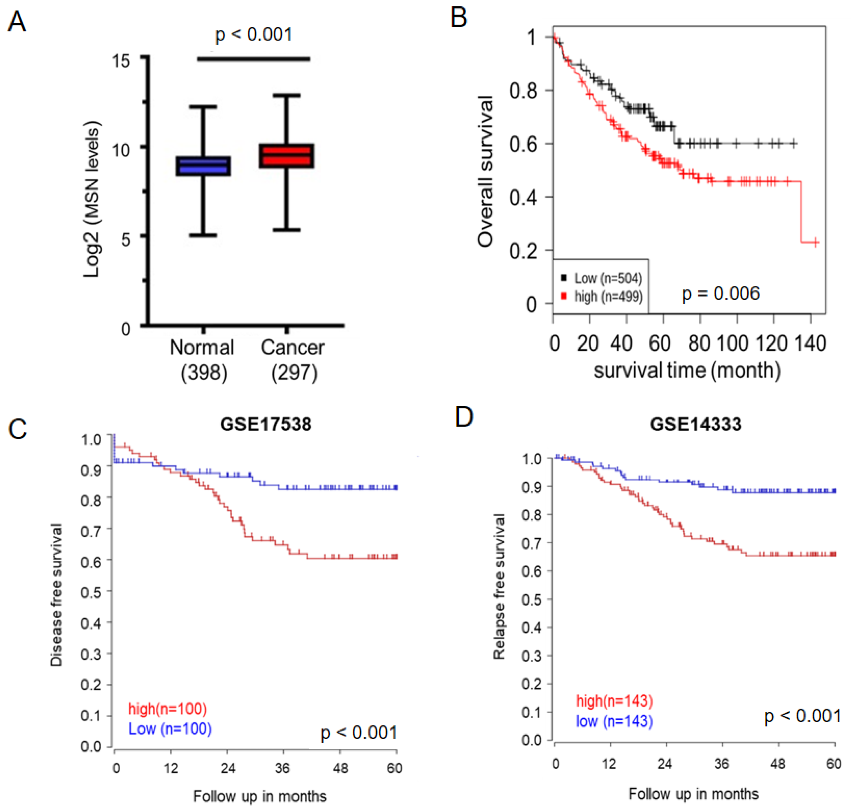 Ijms 24 10951 g001 Ijms 24 10951 g001