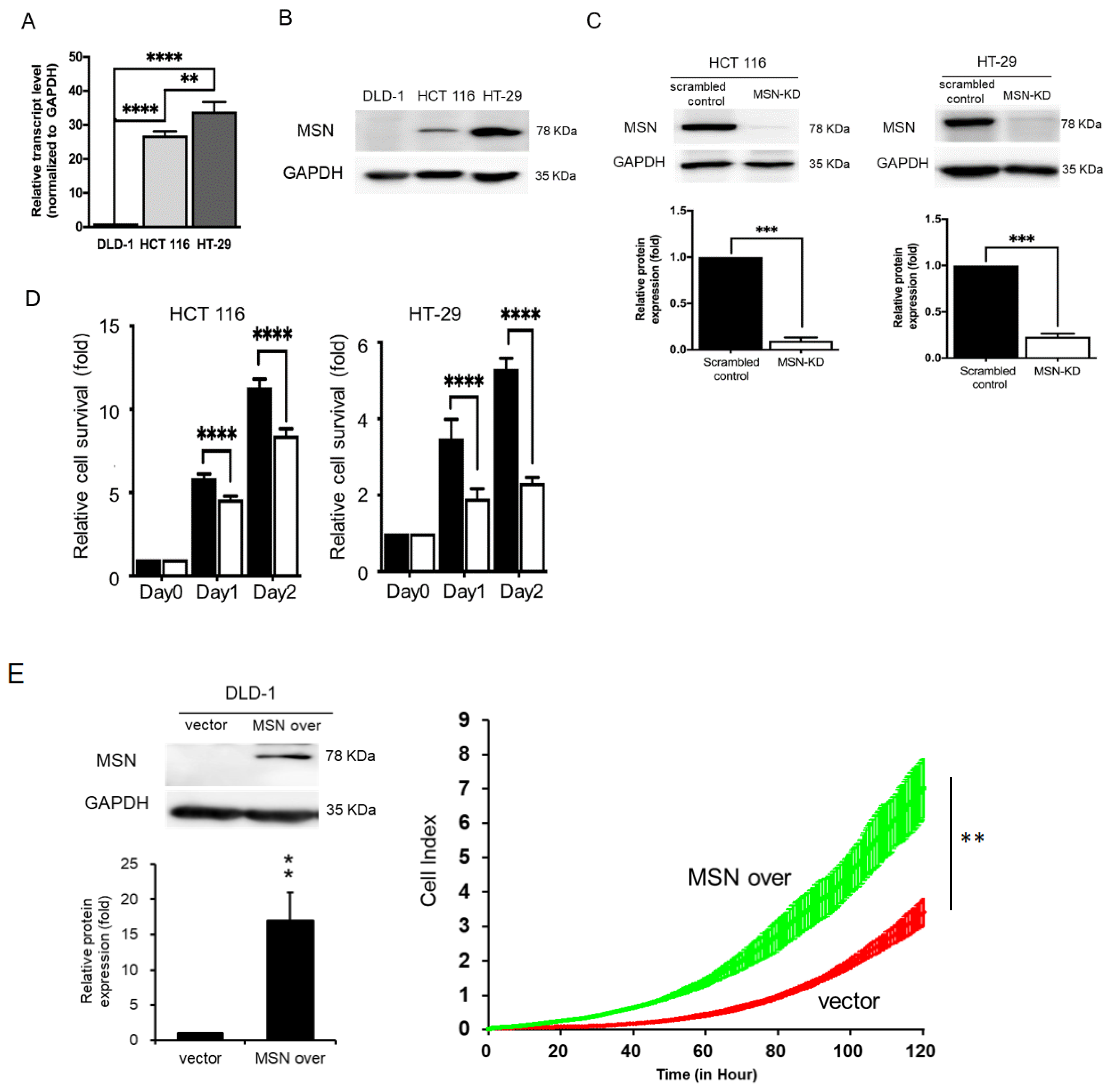Ijms 24 10951 g002 Ijms 24 10951 g002