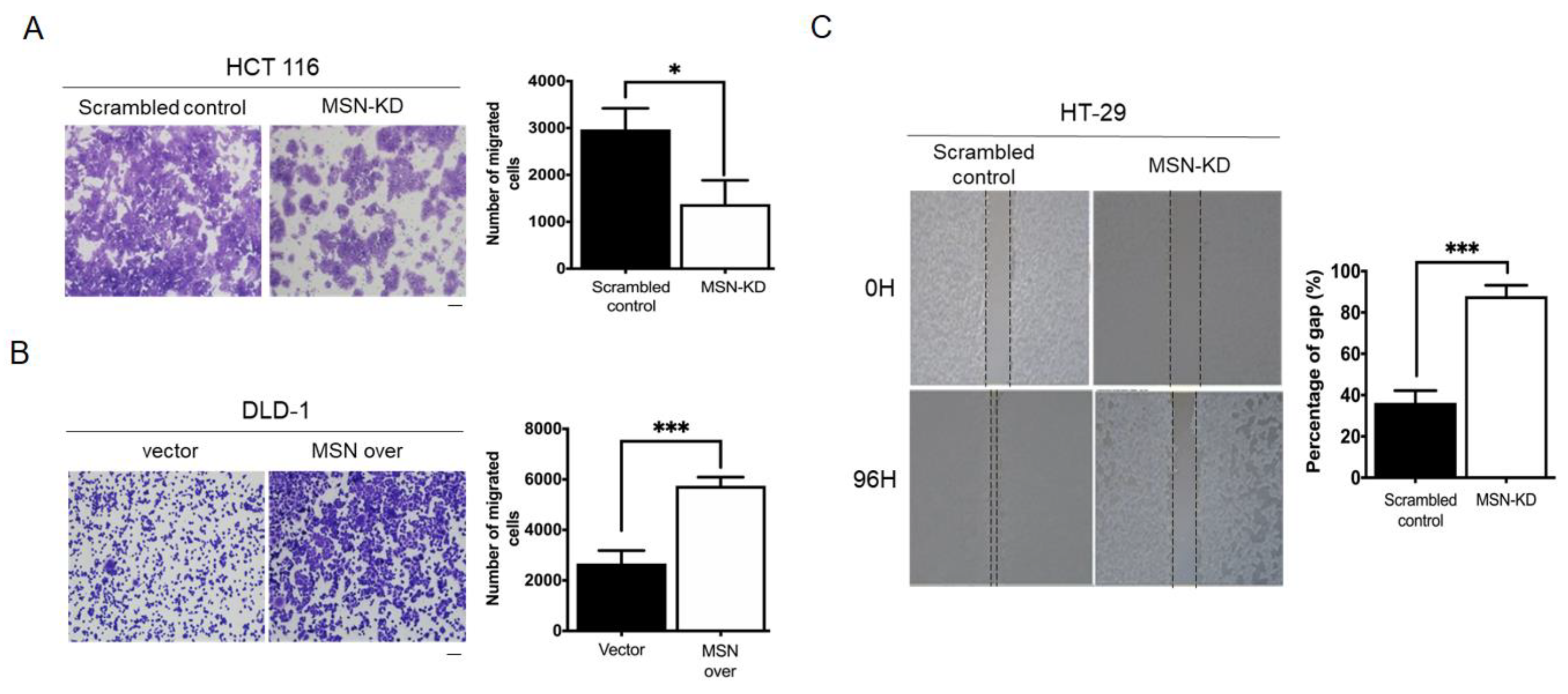 Ijms 24 10951 g005a Ijms 24 10951 g005a