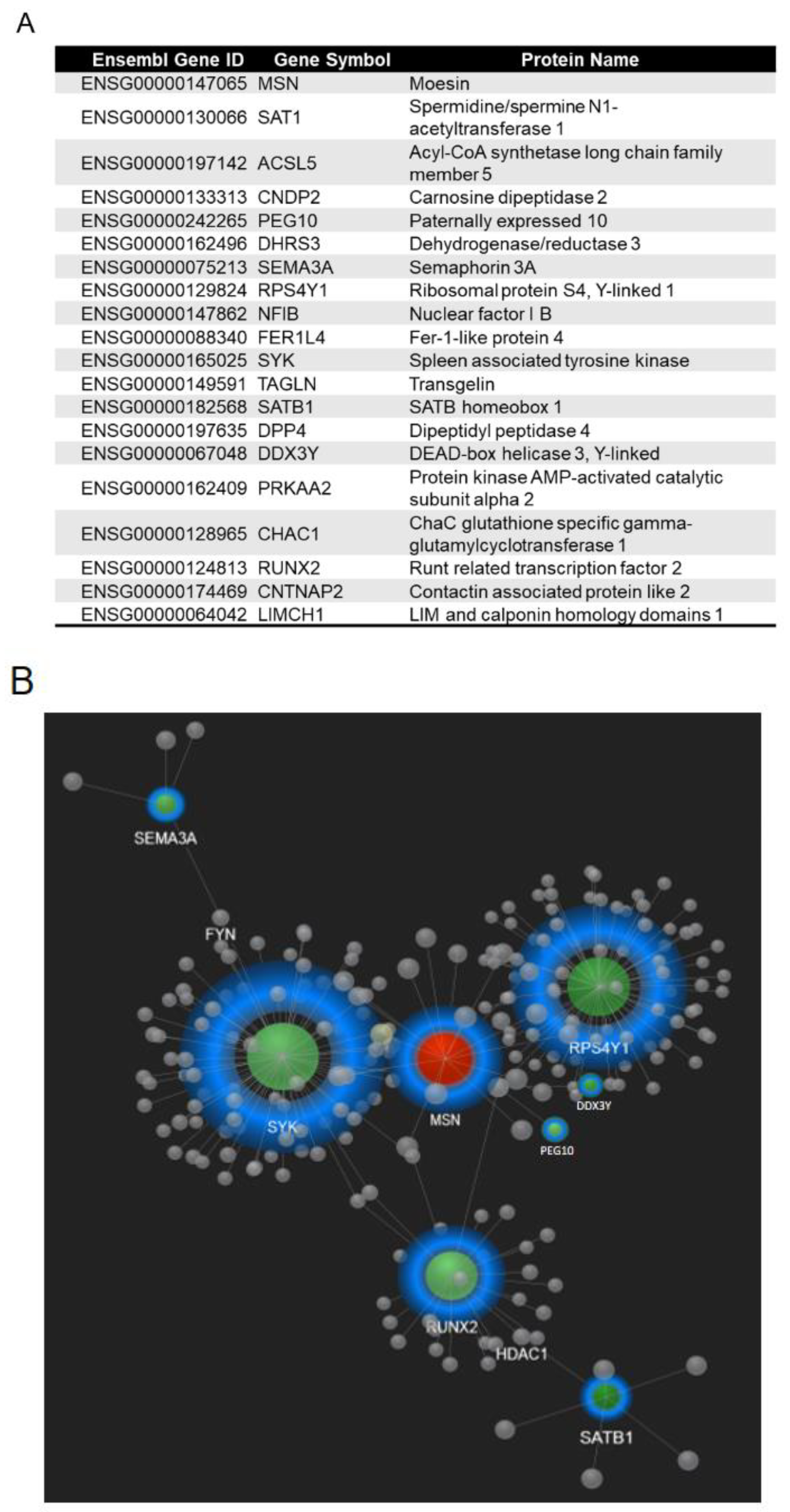 Ijms 24 10951 g006 Ijms 24 10951 g006