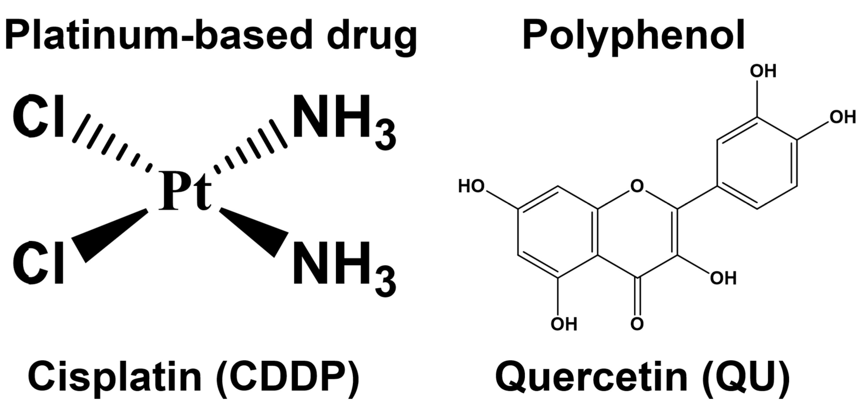 Ijms 24 10960 g001 Ijms 24 10960 g001