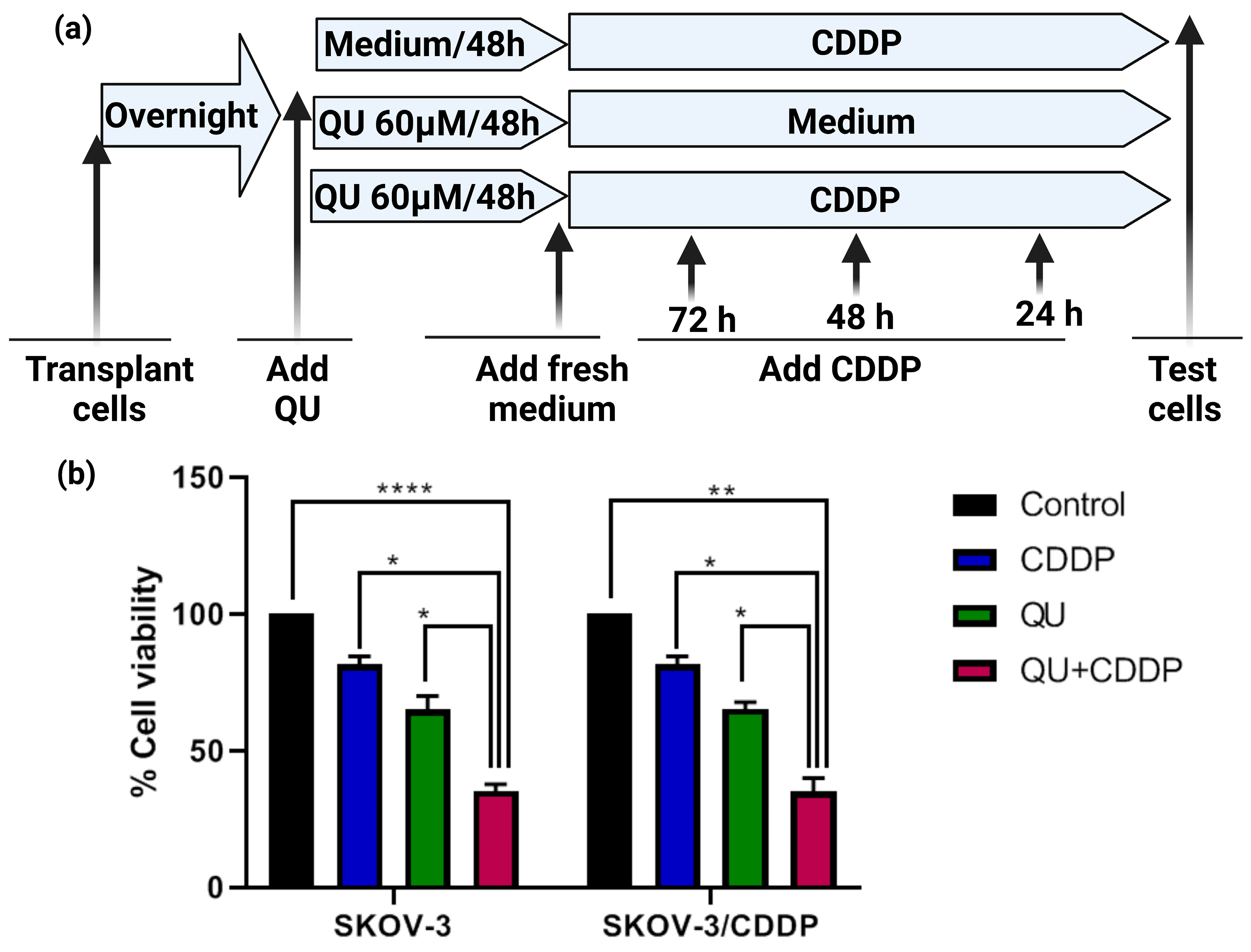 Ijms 24 10960 g002 Ijms 24 10960 g002