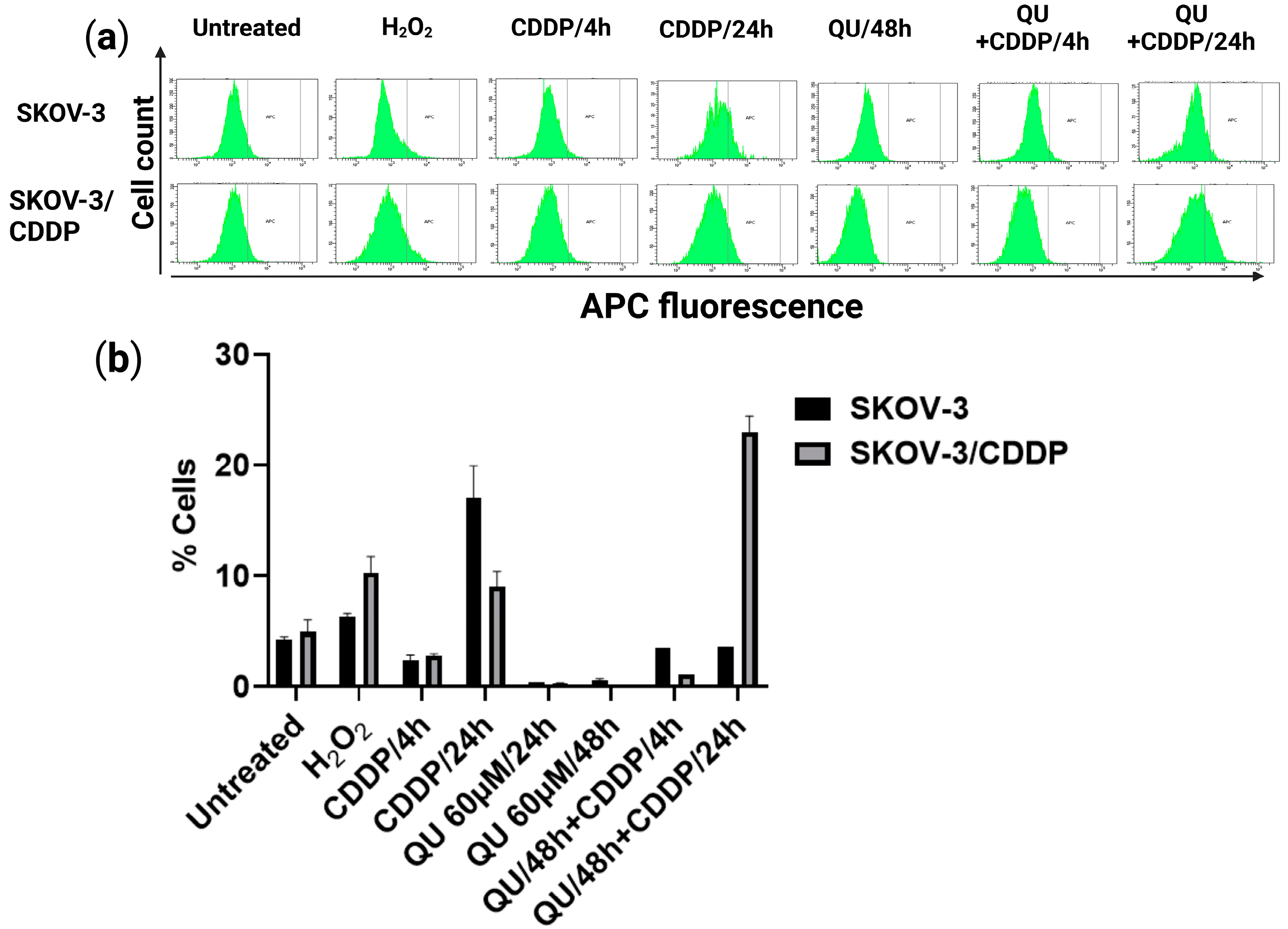 Ijms 24 10960 g004 Ijms 24 10960 g004