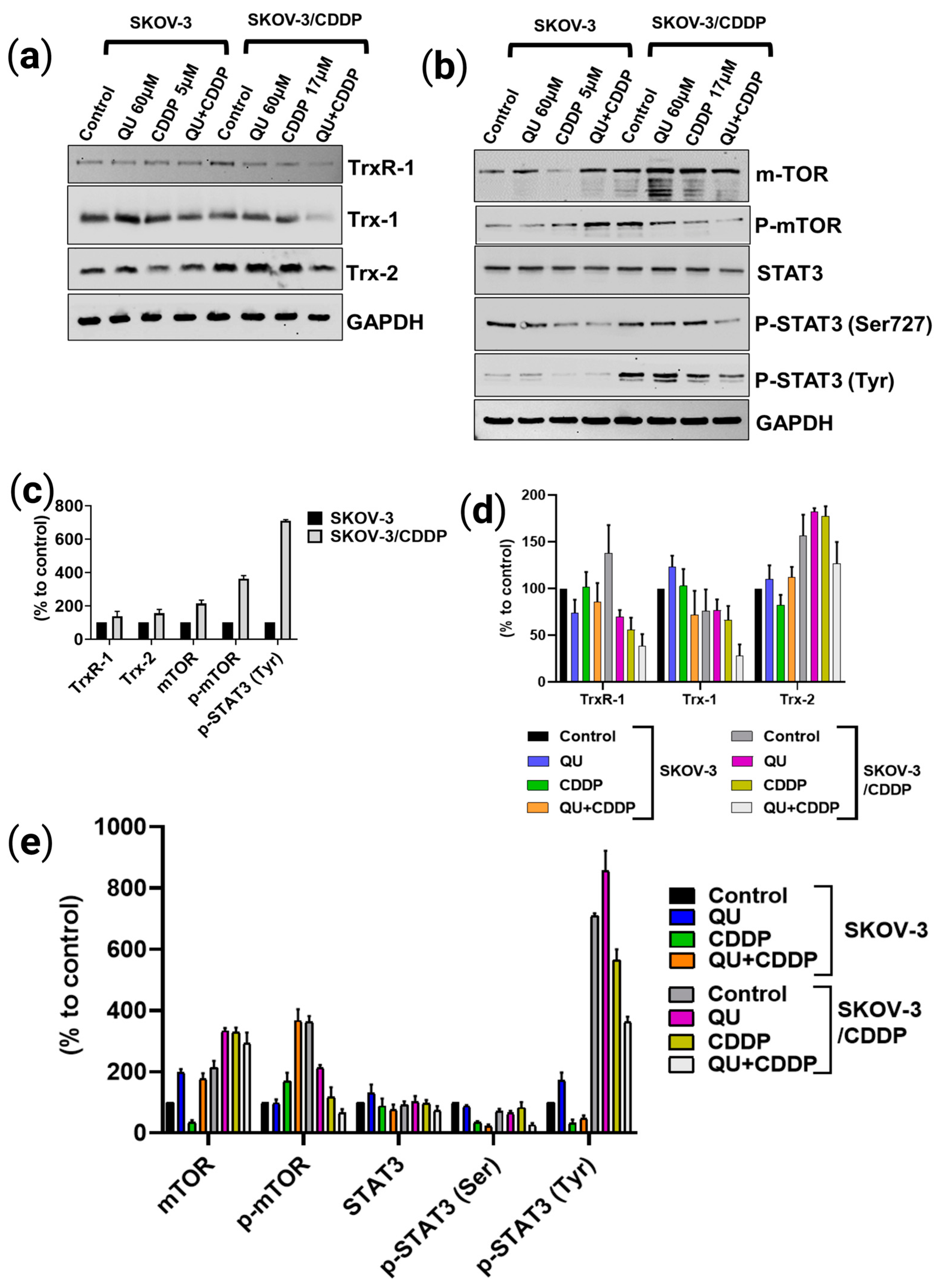 Ijms 24 10960 g005 Ijms 24 10960 g005