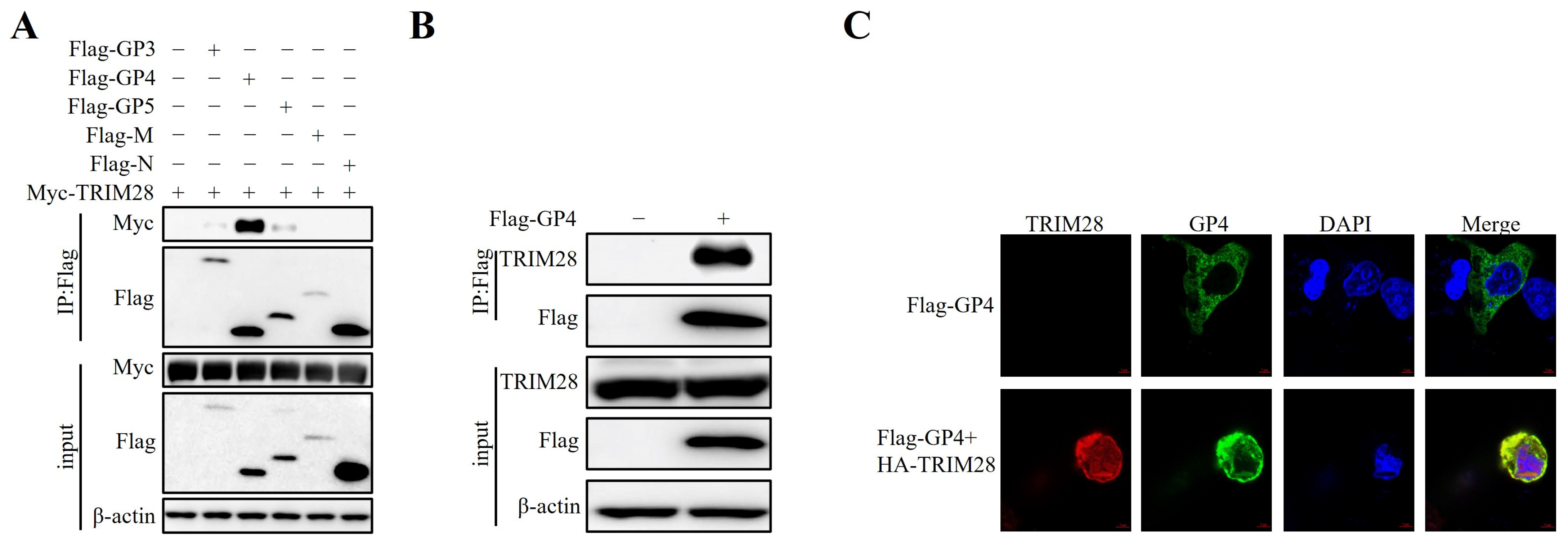 Ijms 24 10965 g004