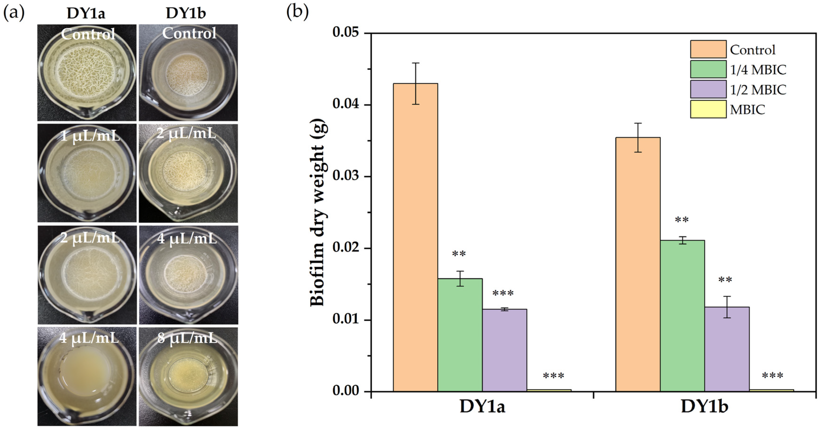 Ijms 24 10980 g001 Ijms 24 10980 g001