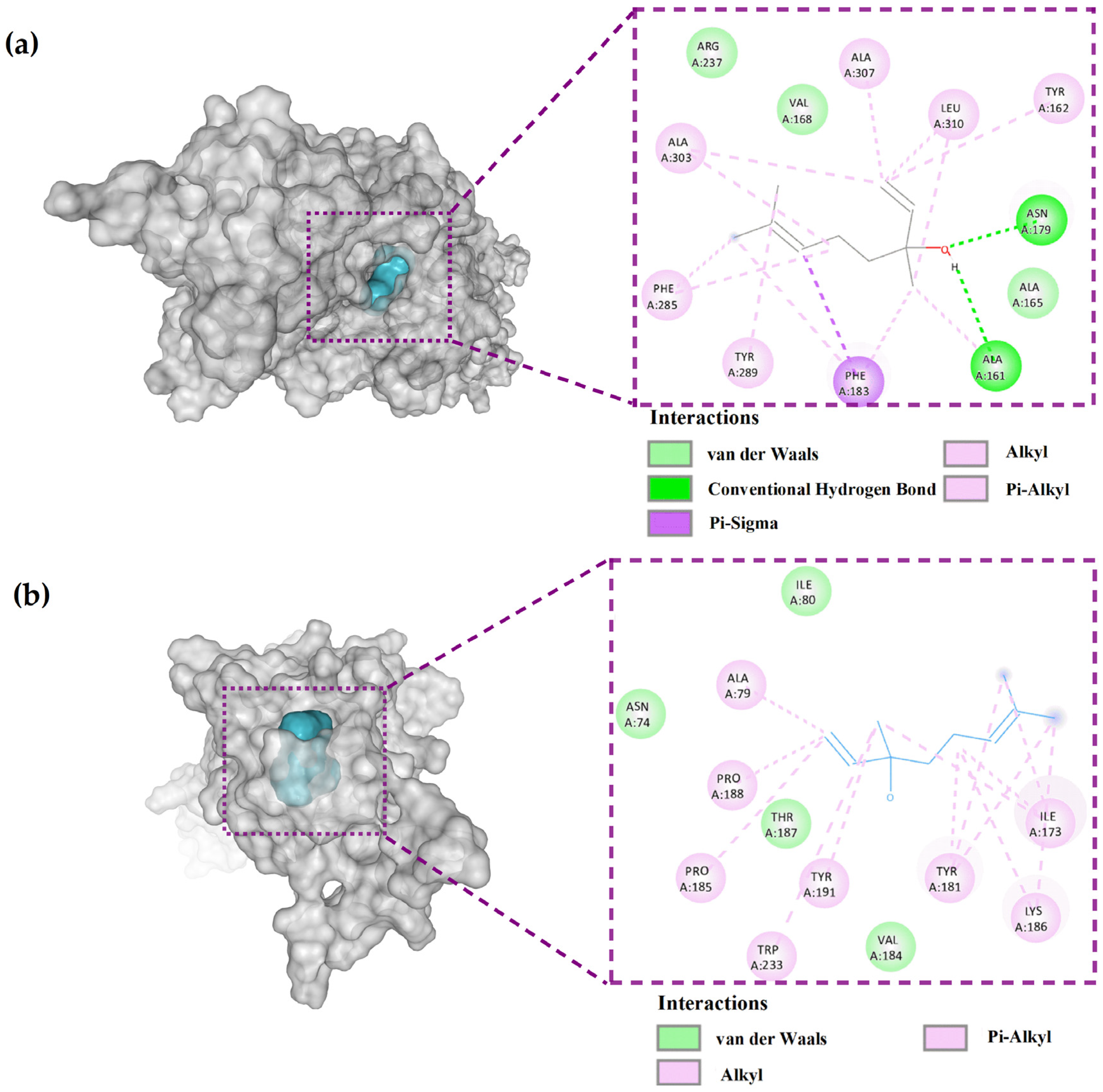 Ijms 24 10980 g008 Ijms 24 10980 g008