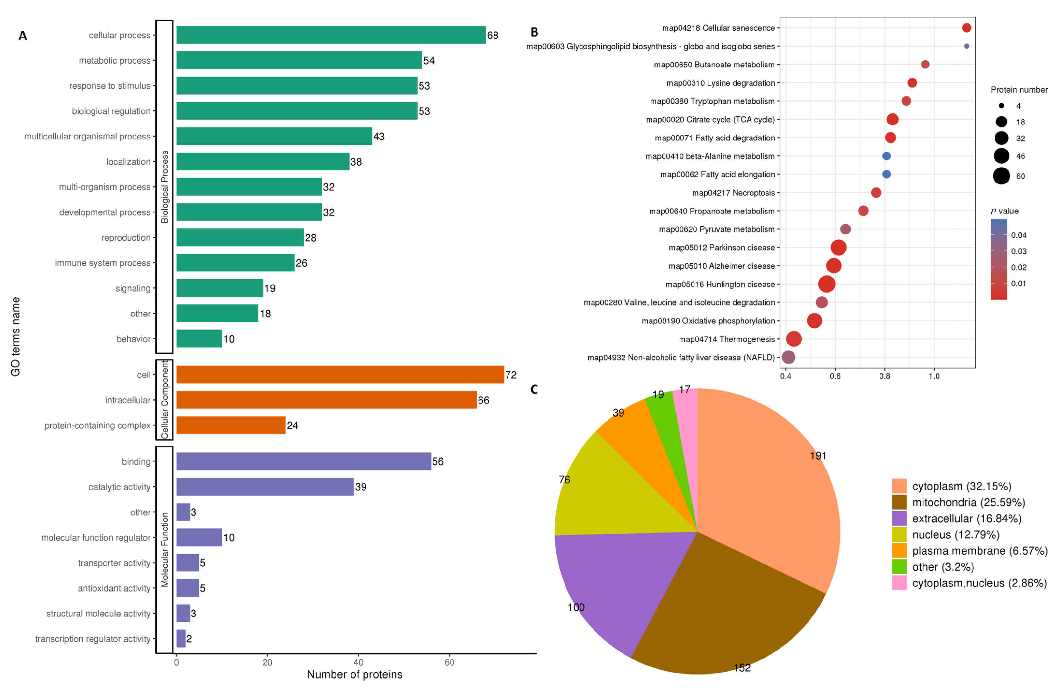Ijms 24 10983 g002 Ijms 24 10983 g002