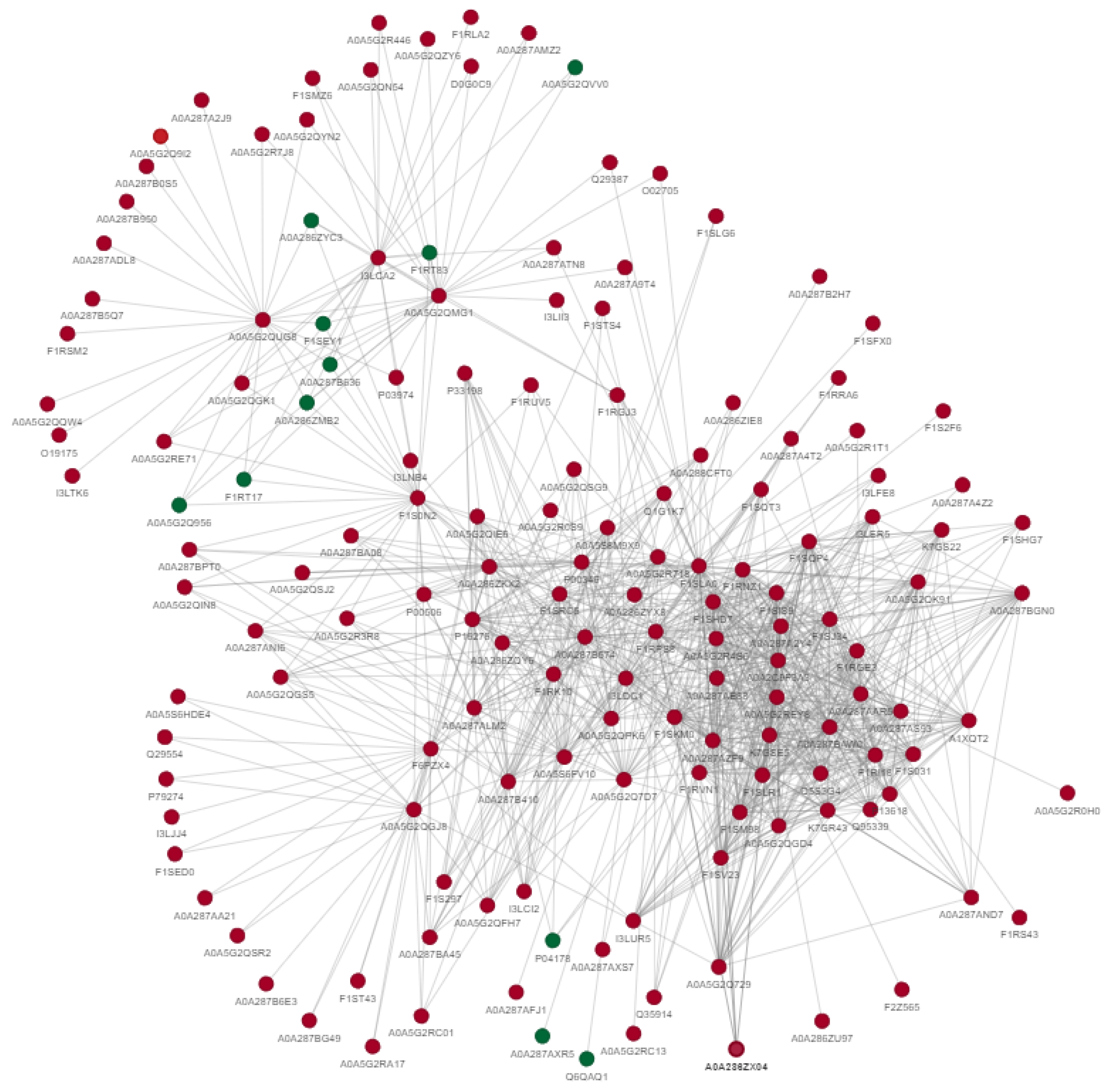 Ijms 24 10983 g004 Ijms 24 10983 g004