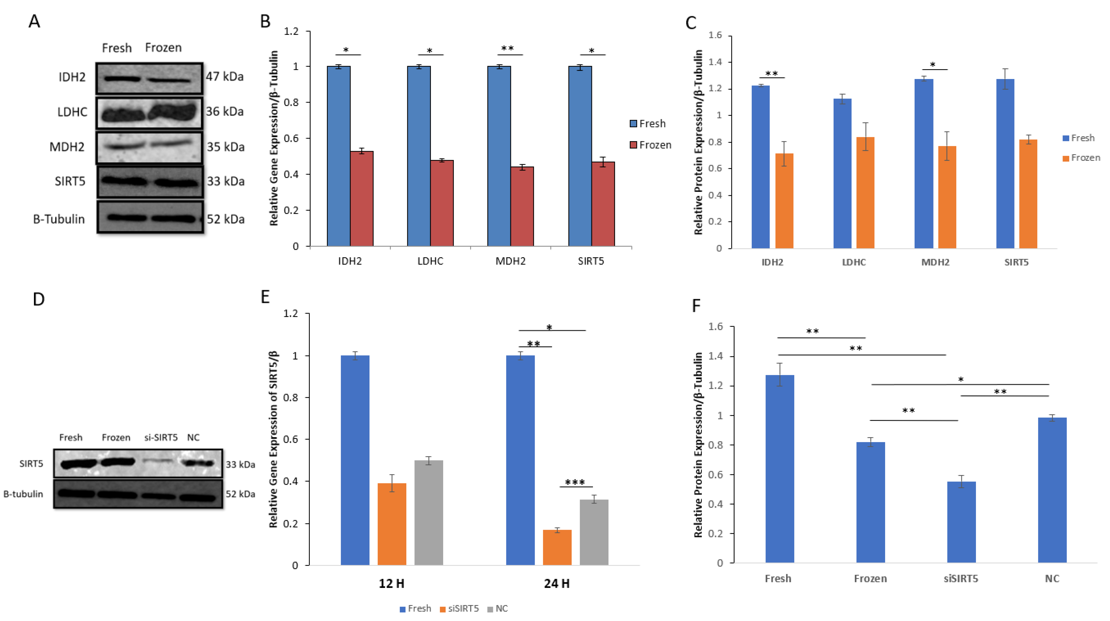 Ijms 24 10983 g005 Ijms 24 10983 g005