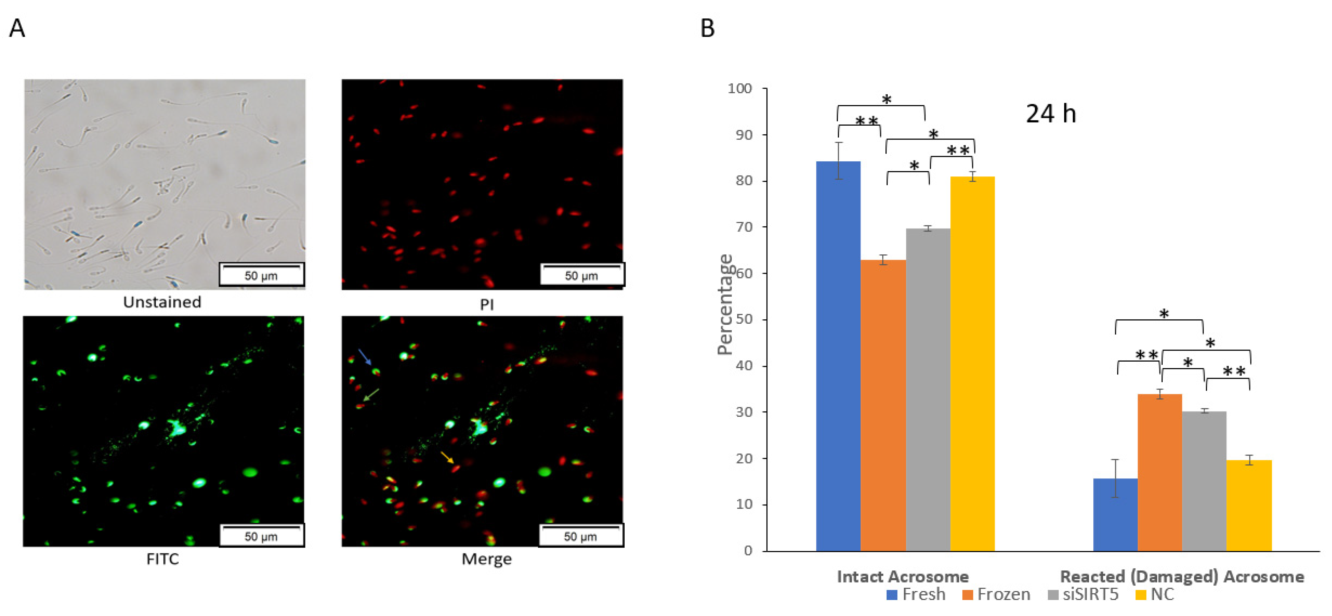 Ijms 24 10983 g007 Ijms 24 10983 g007