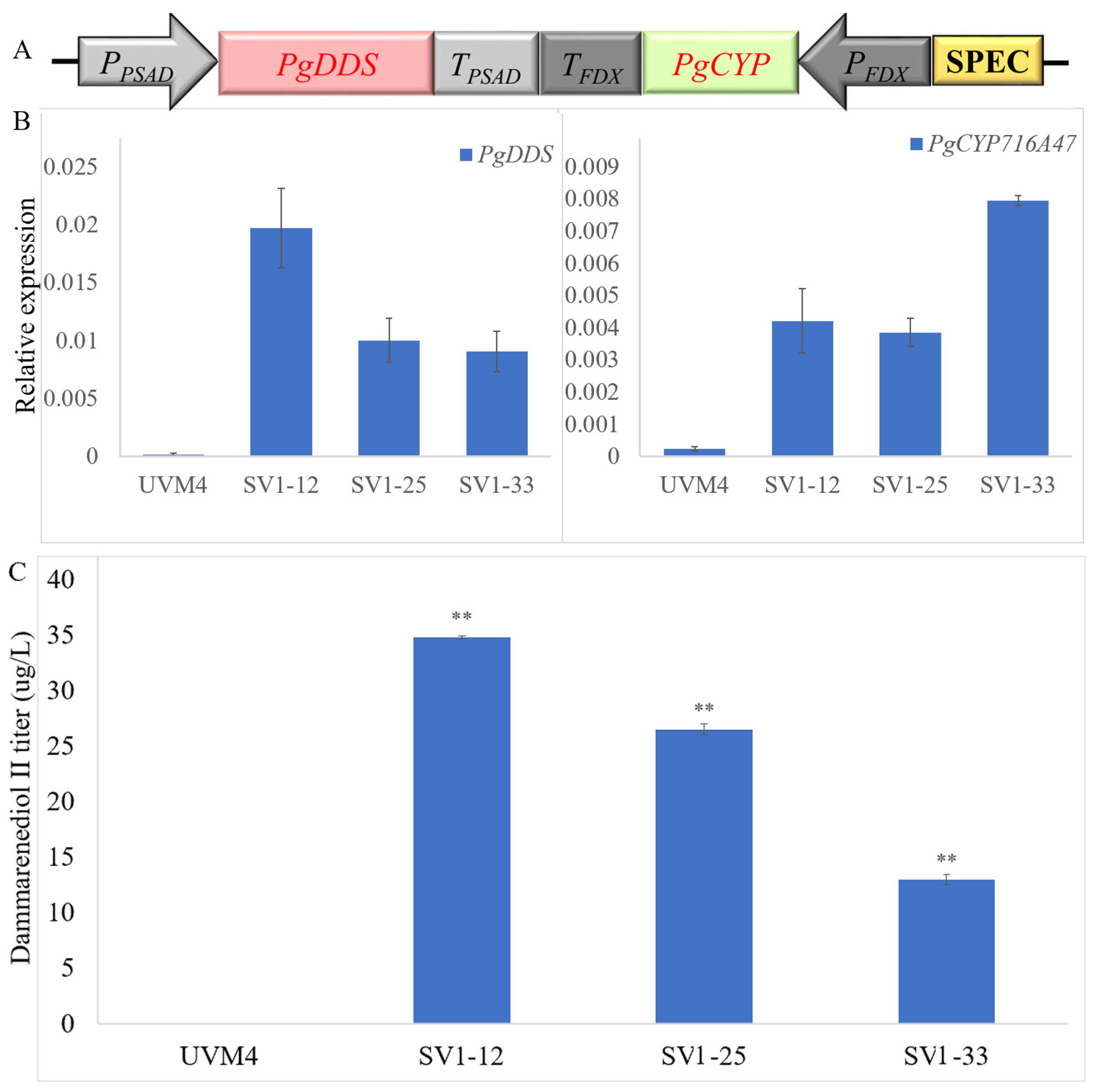 Ijms 24 11002 g002 Ijms 24 11002 g002