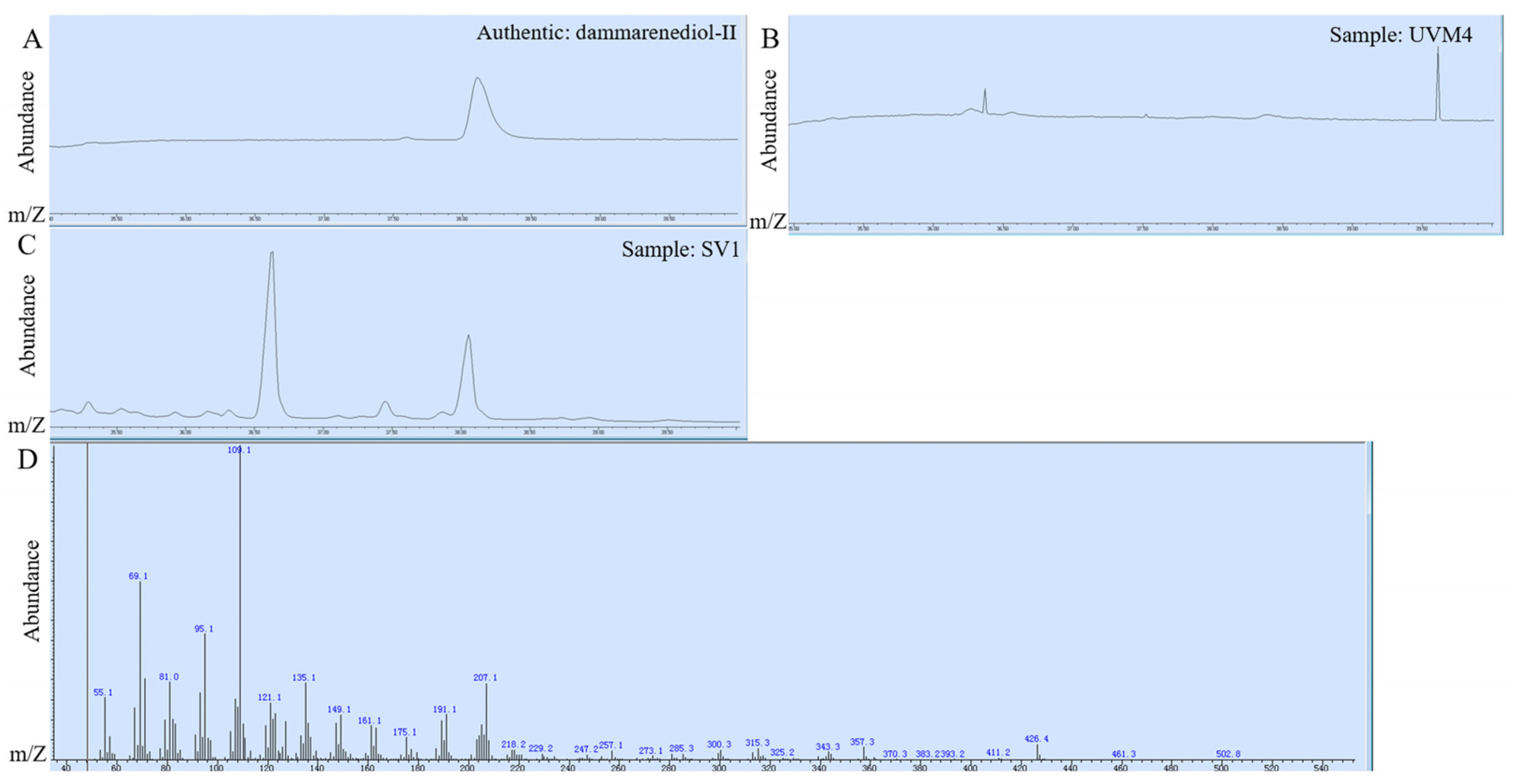 Ijms 24 11002 g003 Ijms 24 11002 g003