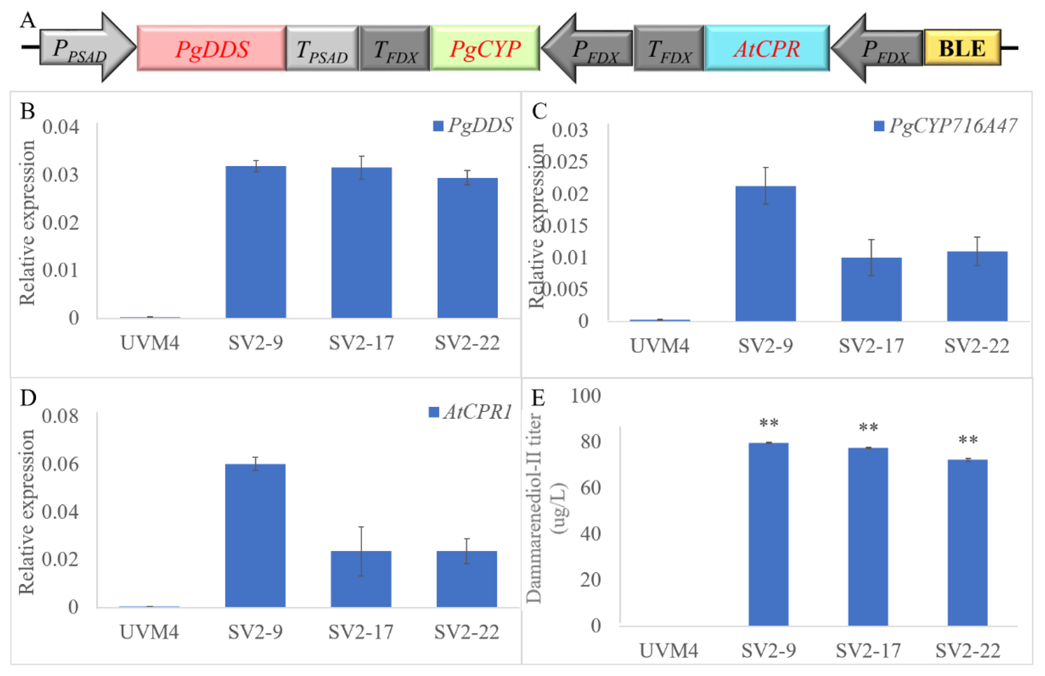 Ijms 24 11002 g004 Ijms 24 11002 g004