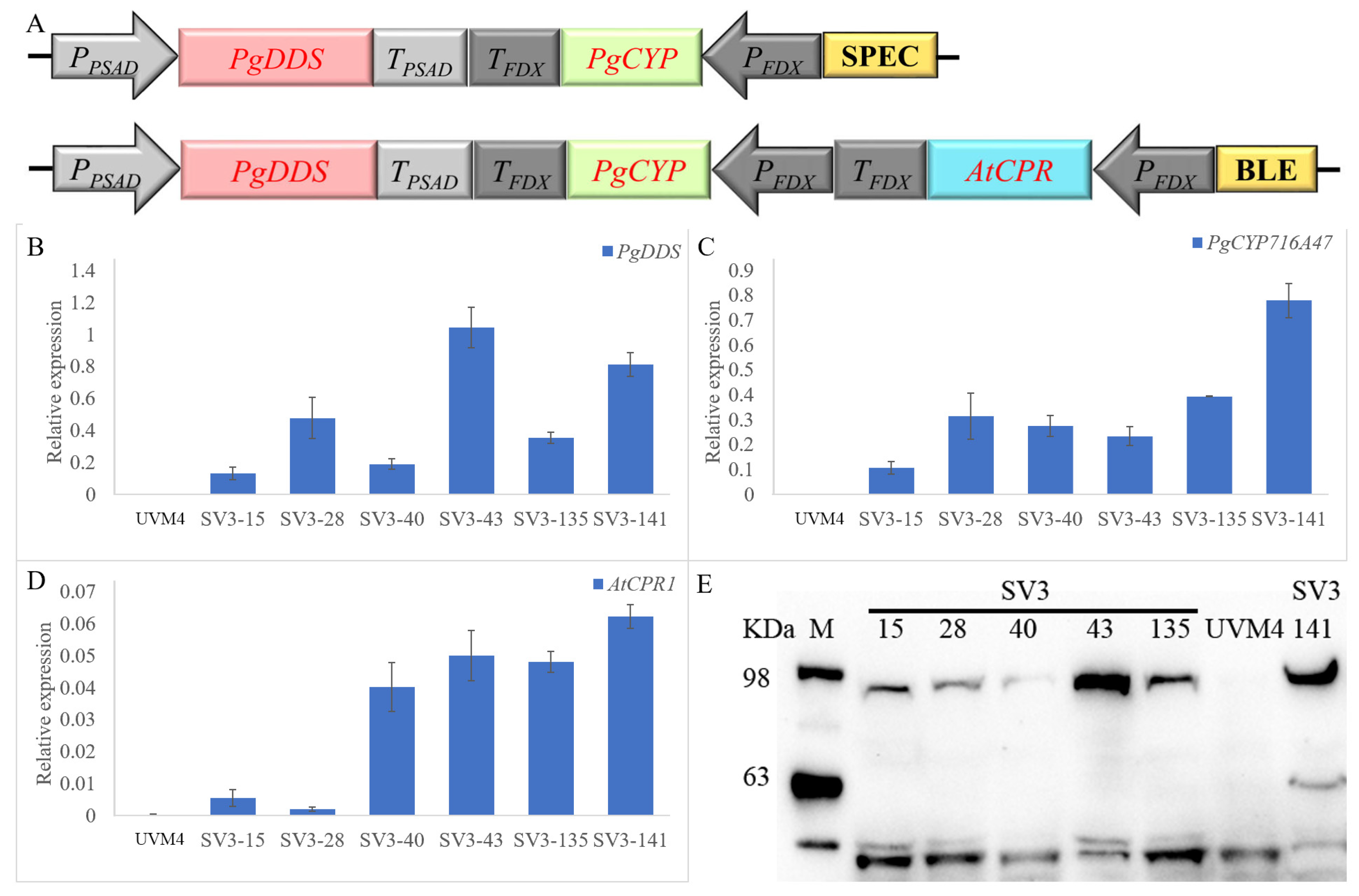 Ijms 24 11002 g005 Ijms 24 11002 g005