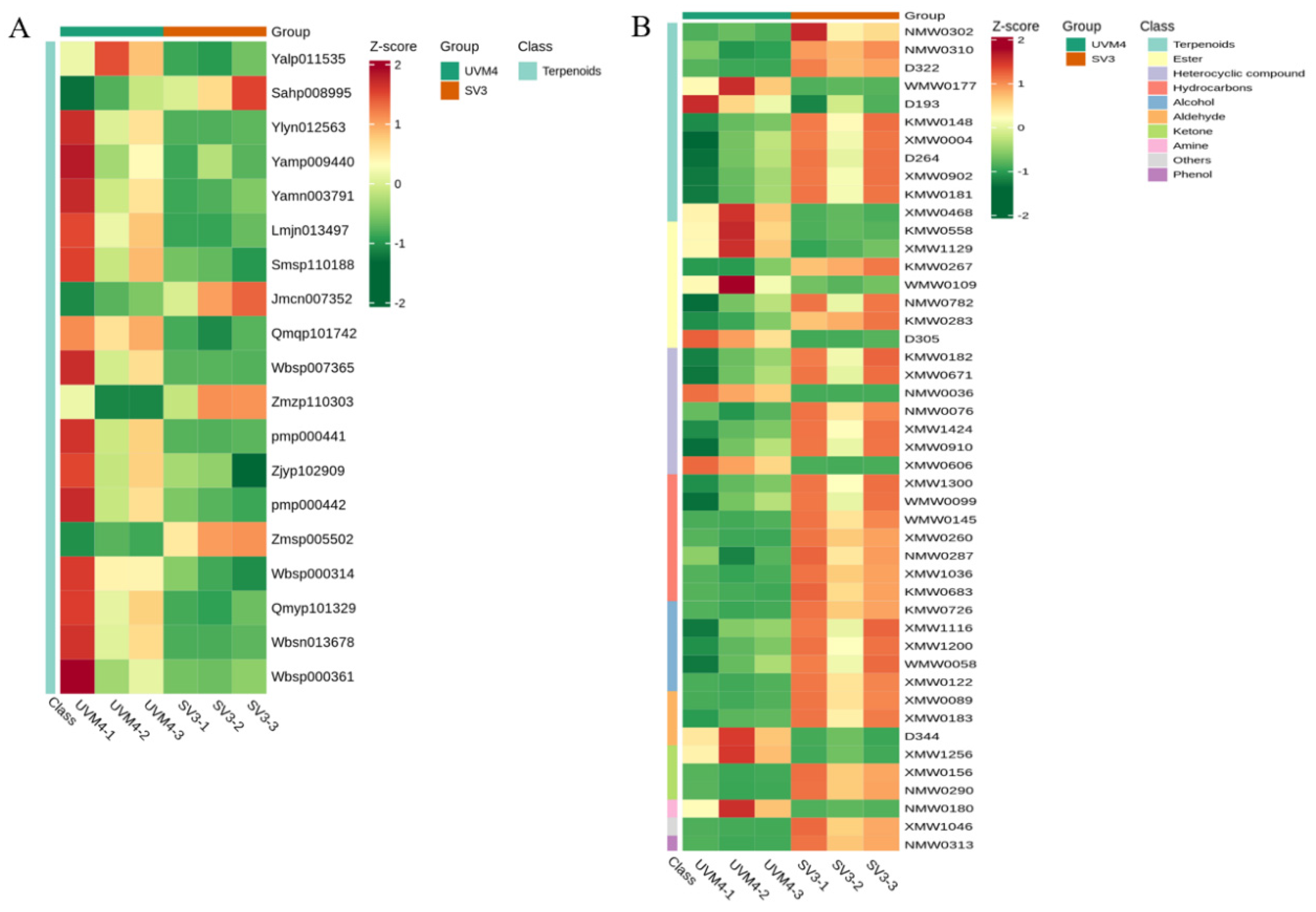 Ijms 24 11002 g007 Ijms 24 11002 g007
