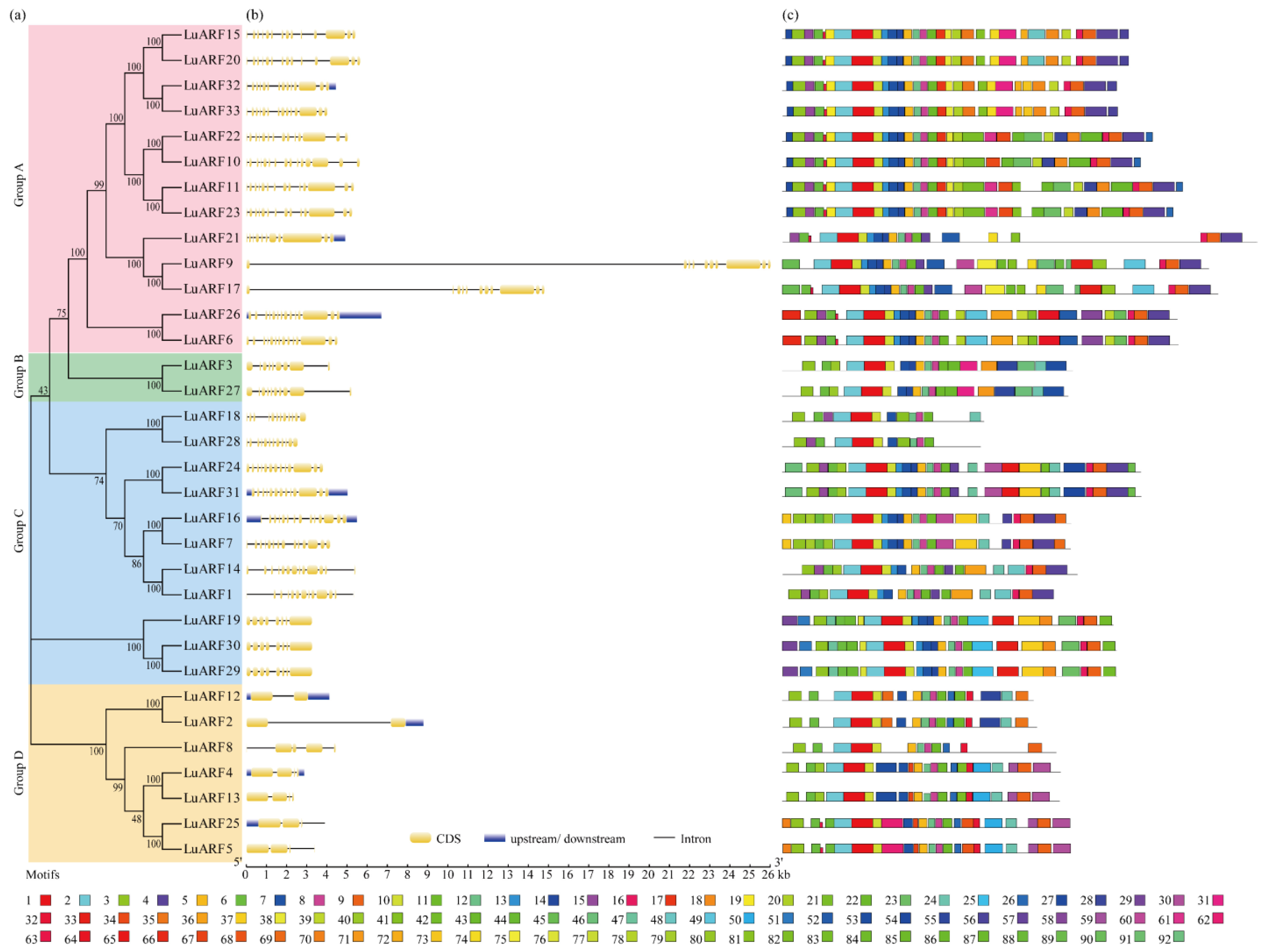 Ijms 24 11006 g001 Ijms 24 11006 g001