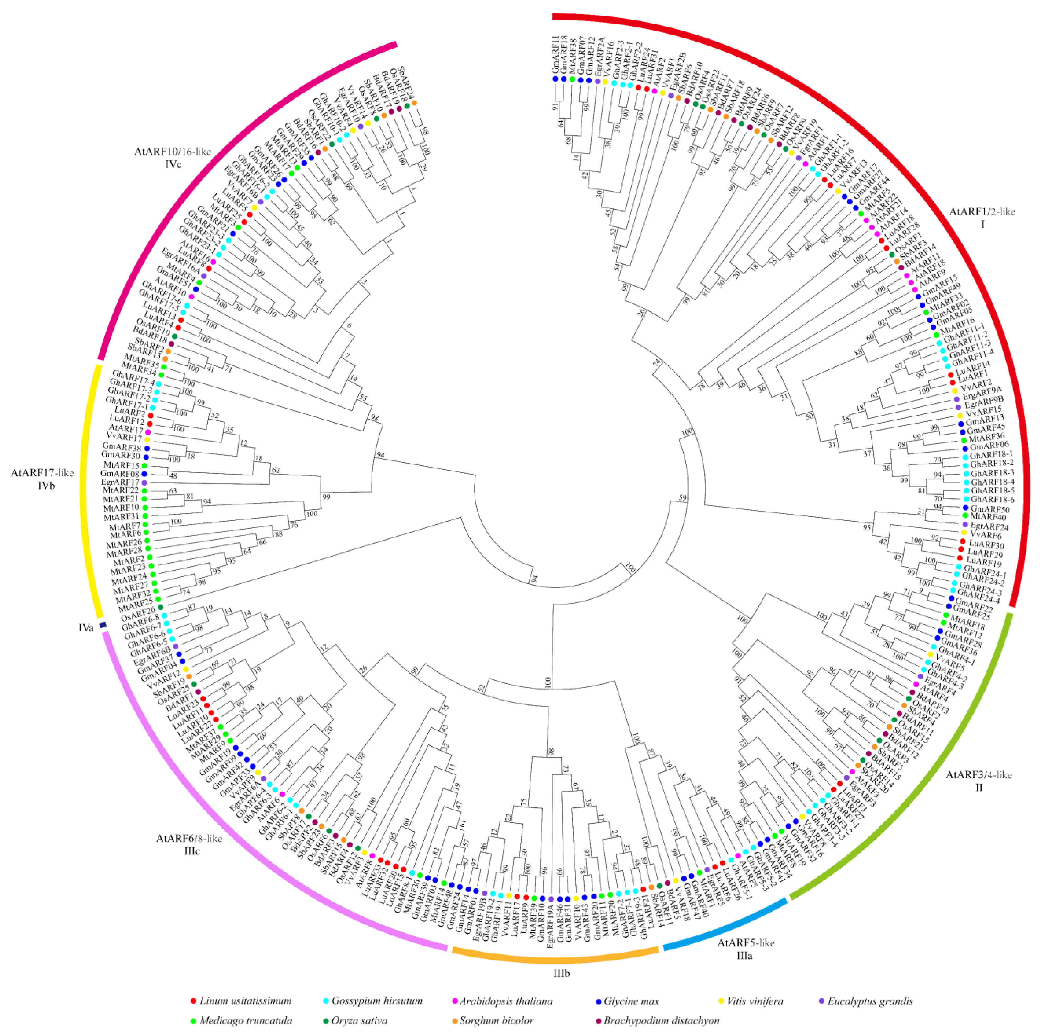 Ijms 24 11006 g002 Ijms 24 11006 g002
