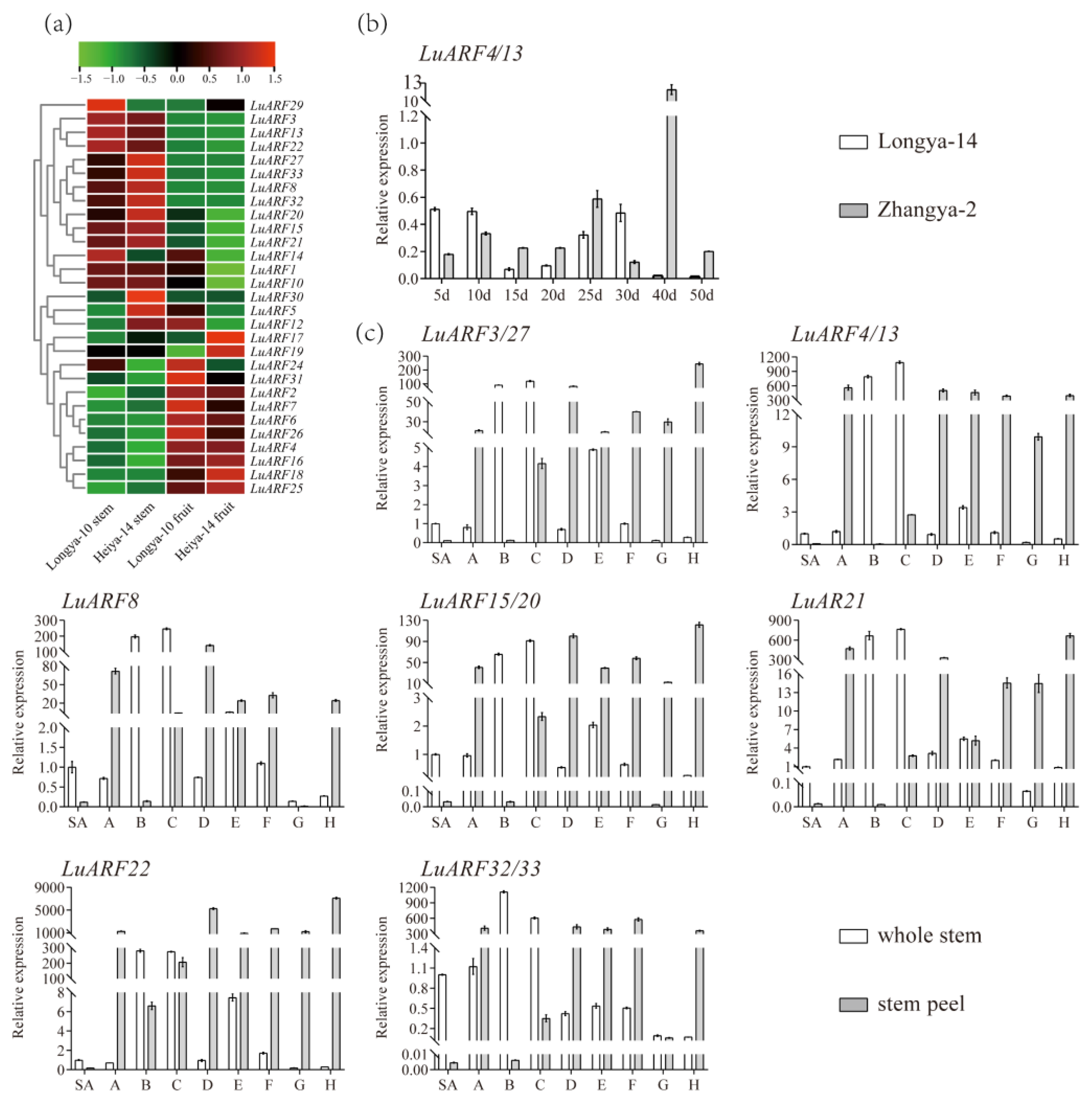 Ijms 24 11006 g006 Ijms 24 11006 g006