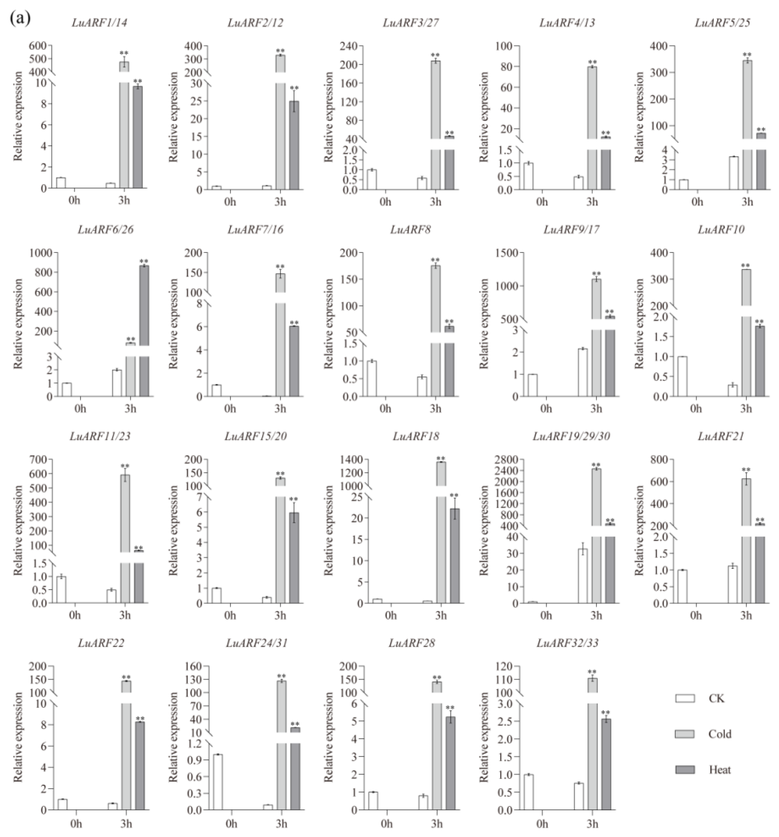 Ijms 24 11006 g007a Ijms 24 11006 g007a