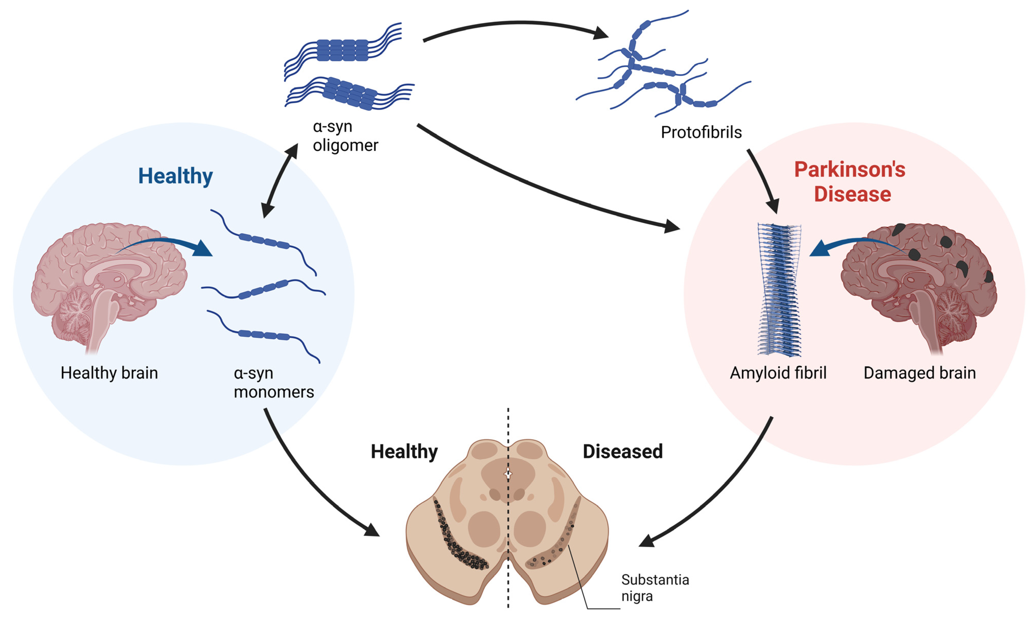 Ijms 24 11022 g003 Ijms 24 11022 g003