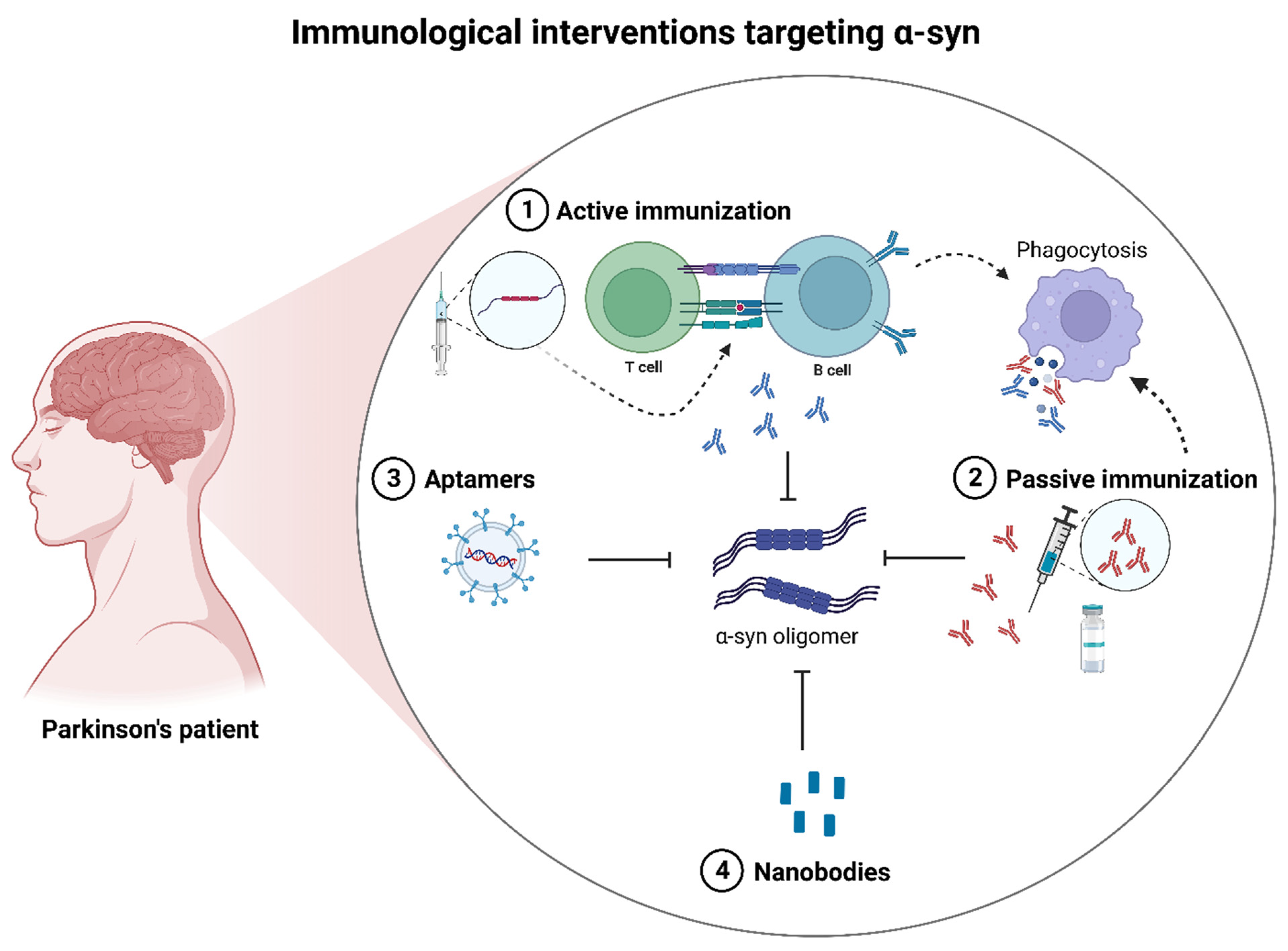 Ijms 24 11022 g006 Ijms 24 11022 g006