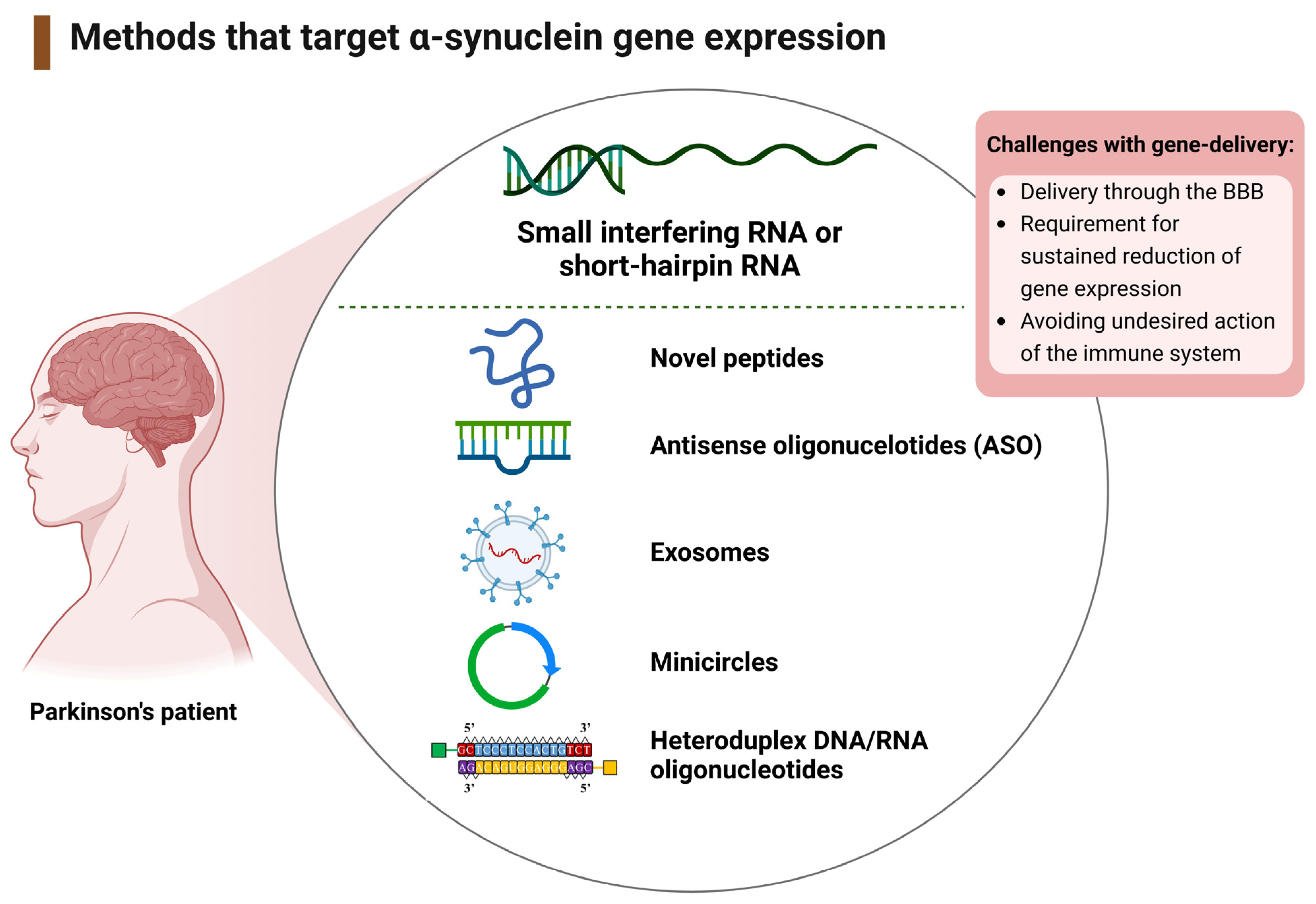 Ijms 24 11022 g007 Ijms 24 11022 g007