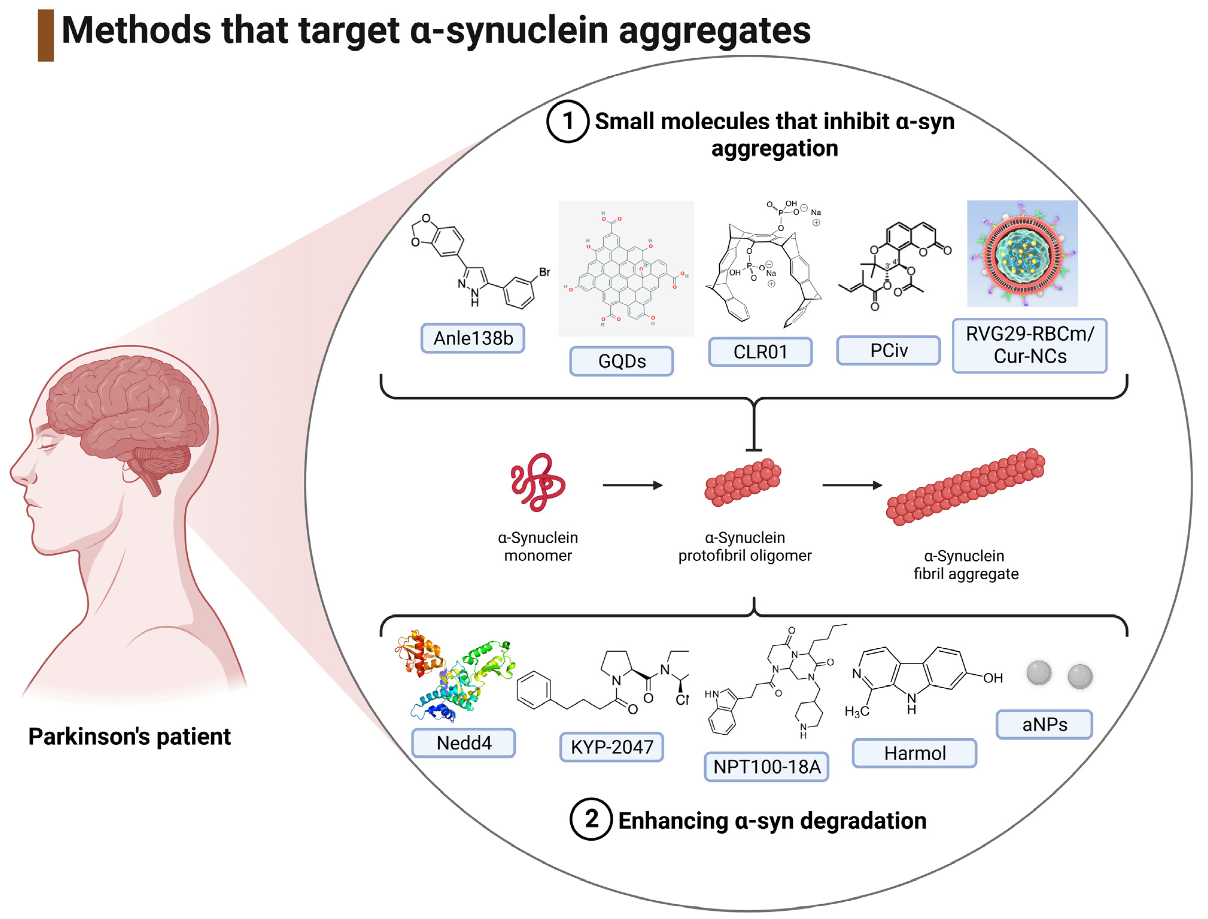 Ijms 24 11022 g008 Ijms 24 11022 g008